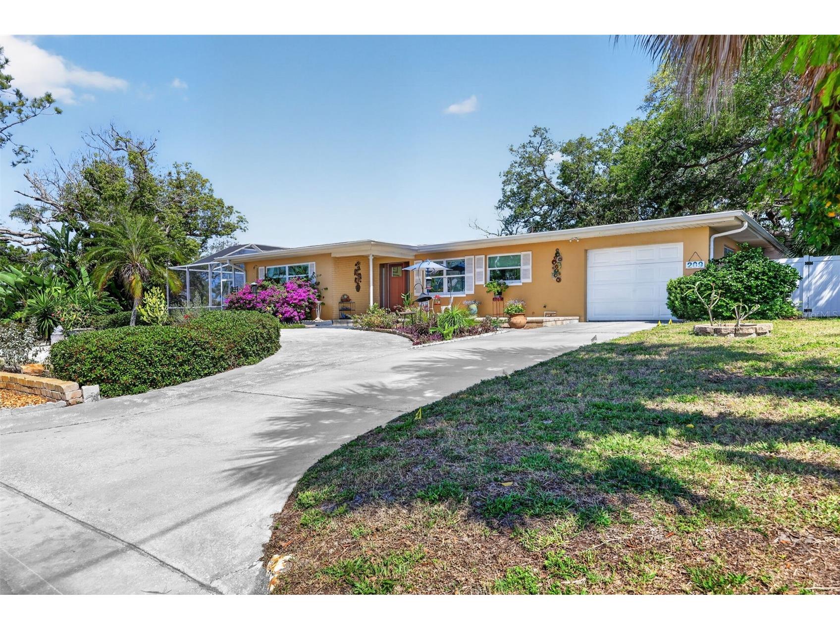 209 Westwinds Drive Palm Harbor FL 34683 TB8499622 image4