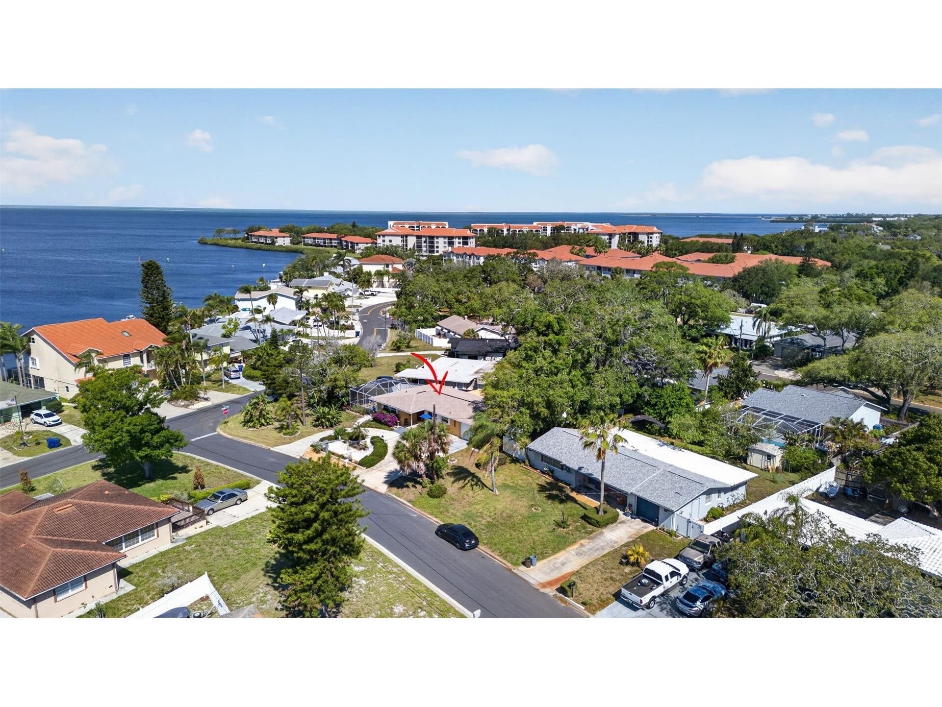 209 Westwinds Drive Palm Harbor FL 34683 TB8499622 image46