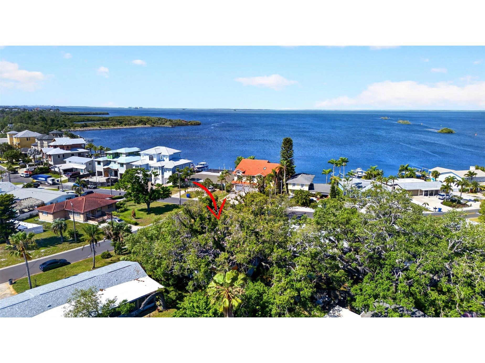 209 Westwinds Drive Palm Harbor FL 34683 TB8499622 image47