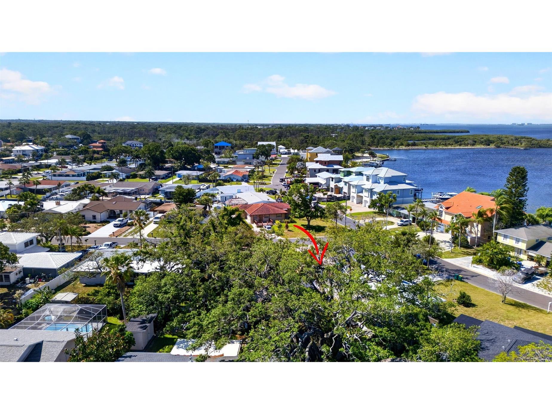 209 Westwinds Drive Palm Harbor FL 34683 TB8499622 image48