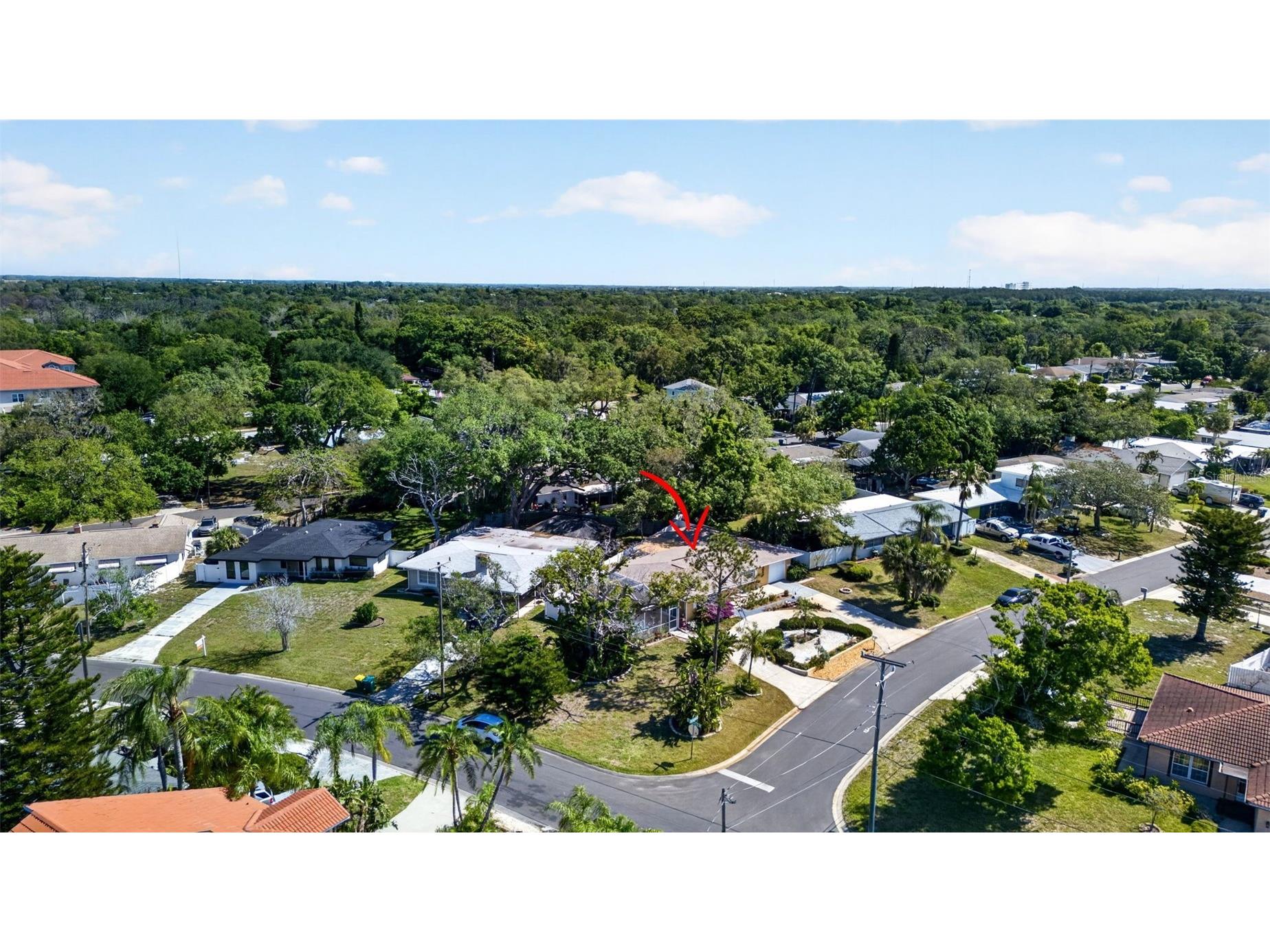 209 Westwinds Drive Palm Harbor FL 34683 TB8499622 image49