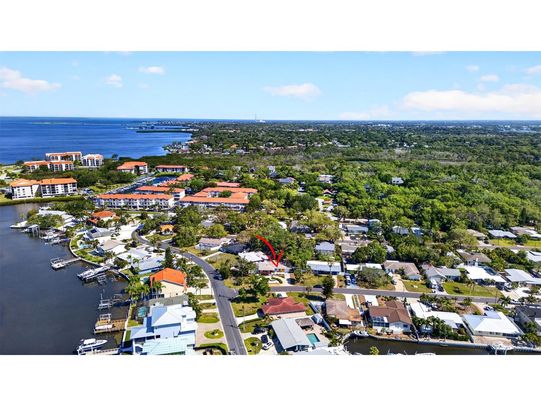 209 Westwinds Drive Palm Harbor FL 34683 TB8499622 image50
