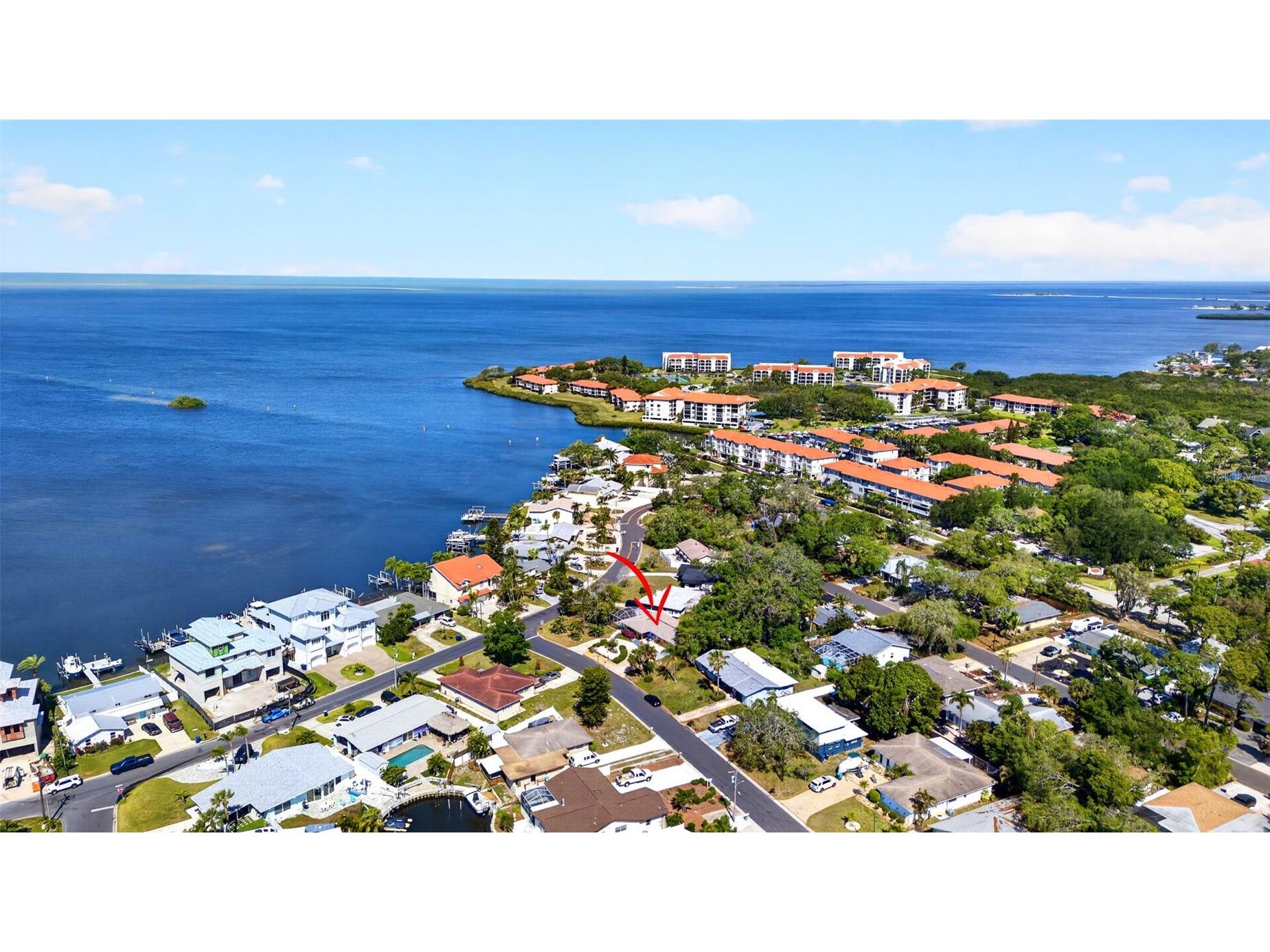 209 Westwinds Drive Palm Harbor FL 34683 TB8499622 image51