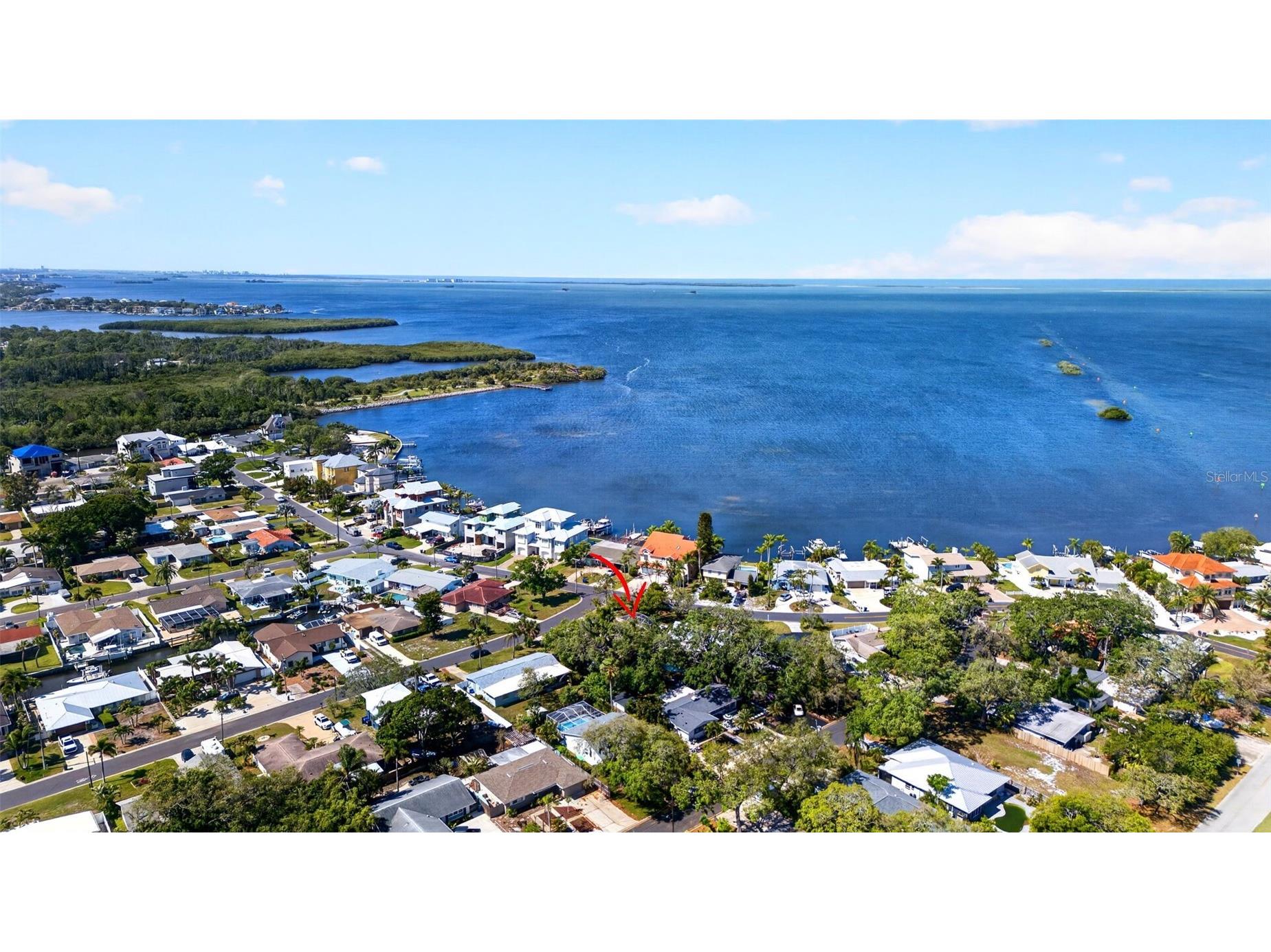 209 Westwinds Drive Palm Harbor FL 34683 TB8499622 image52