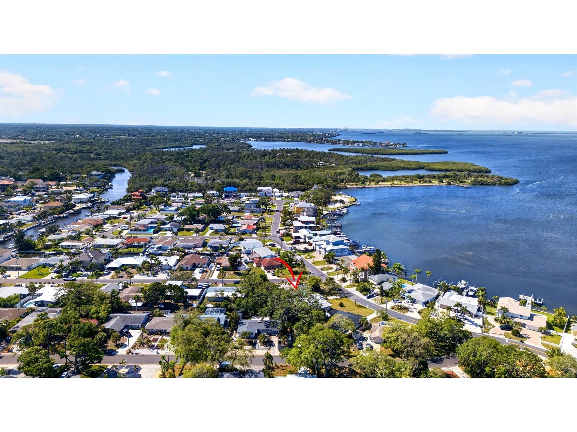 209 Westwinds Drive Palm Harbor FL 34683 TB8499622 image53
