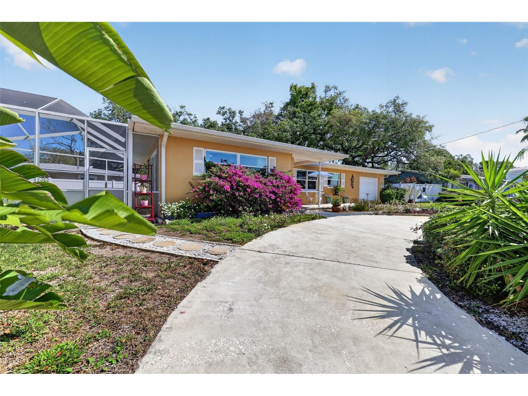 209 Westwinds Drive Palm Harbor FL 34683 TB8499622 image6