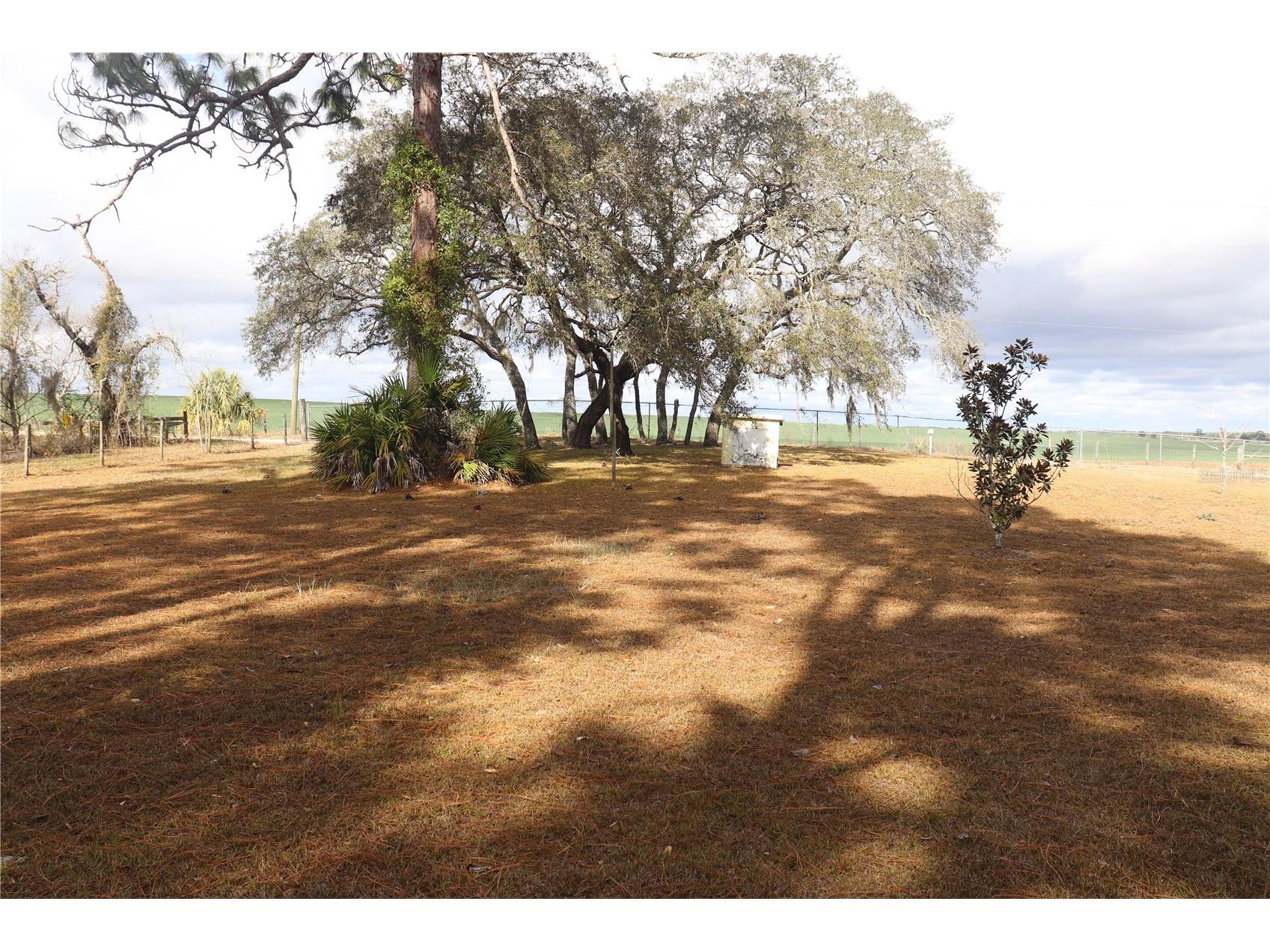 2090 SE 133rd Court Morriston FL 32668 OM716114 image20