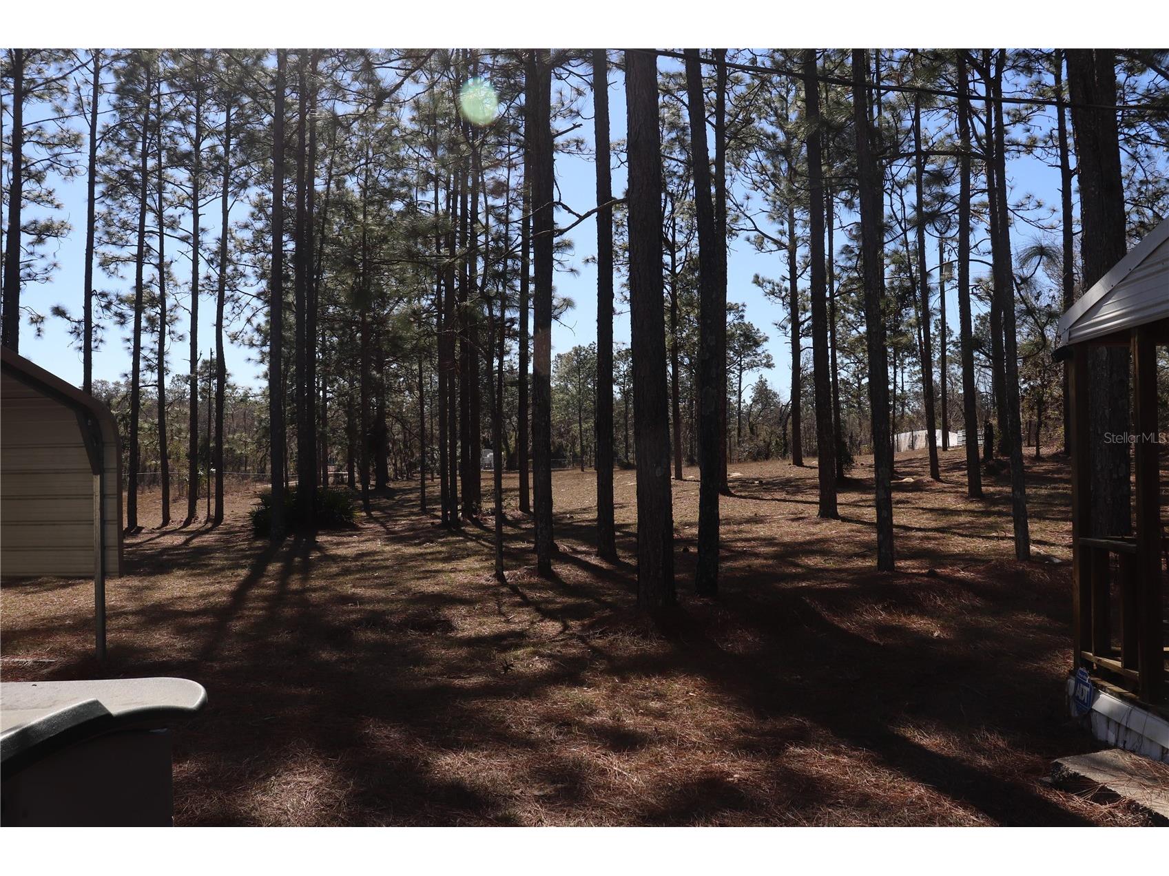 2090 SE 133rd Court Morriston FL 32668 OM716114 image26