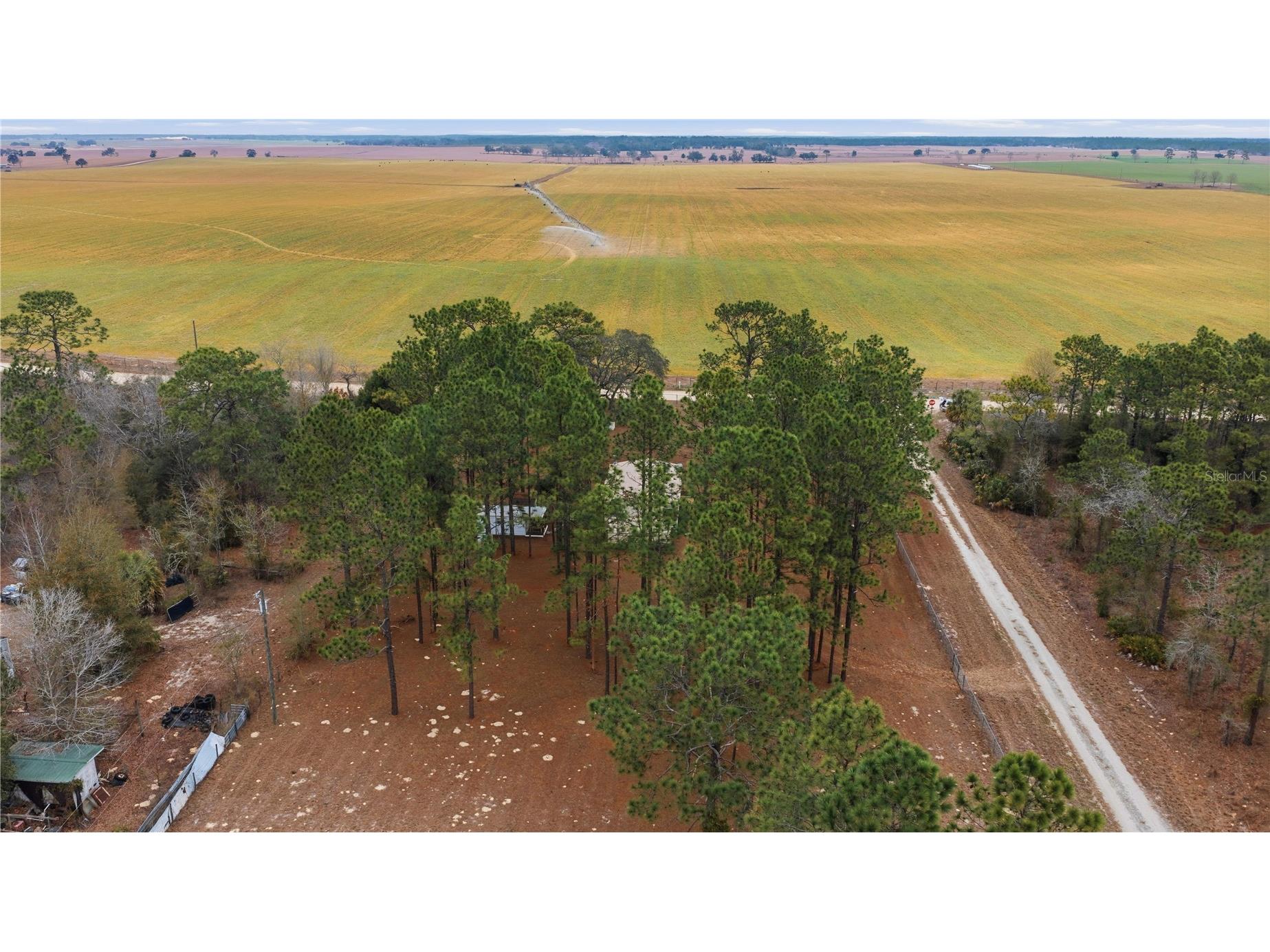 2090 SE 133rd Court Morriston FL 32668 OM716114 image5