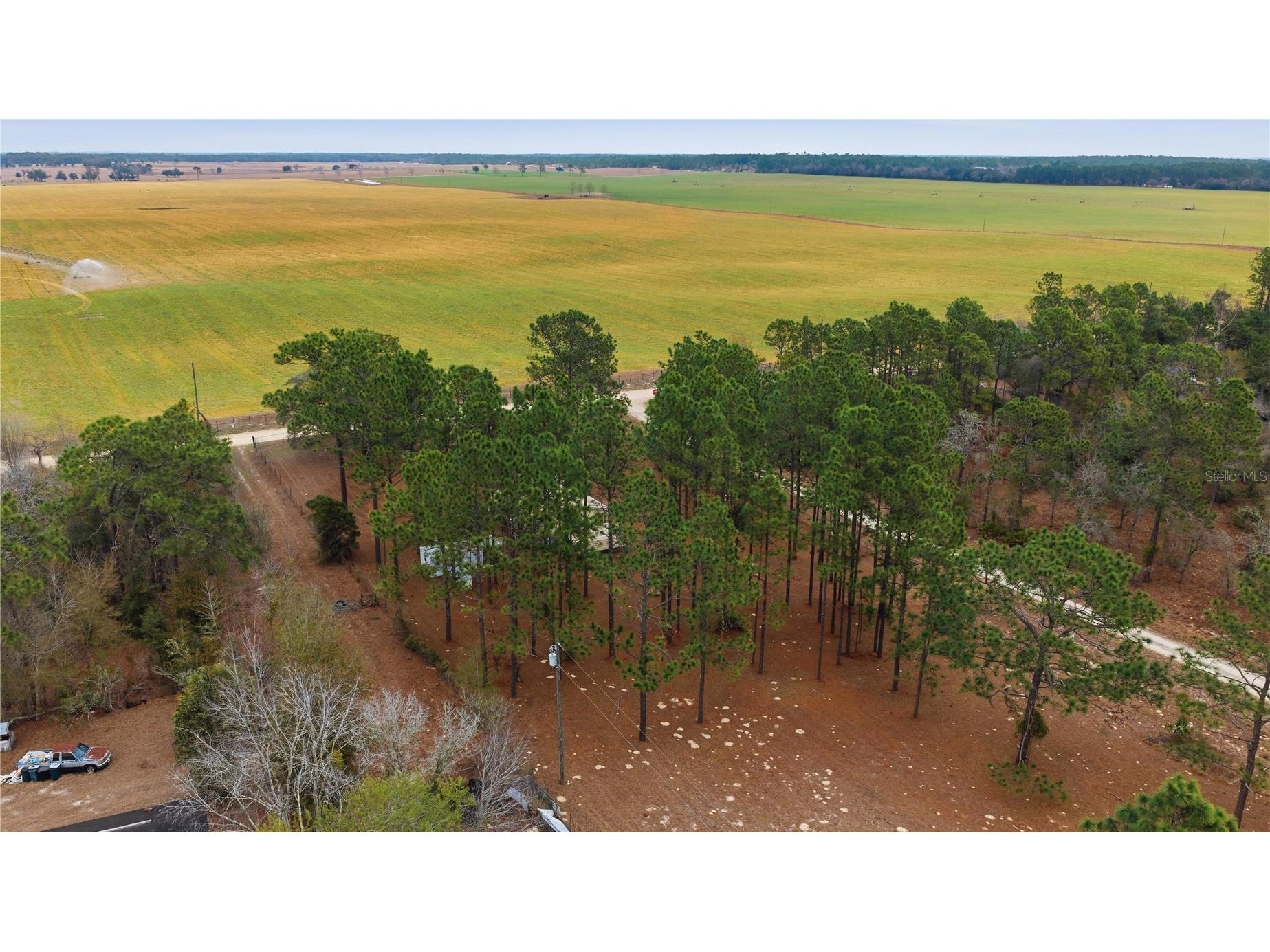 2090 SE 133rd Court Morriston FL 32668 OM716114 image50