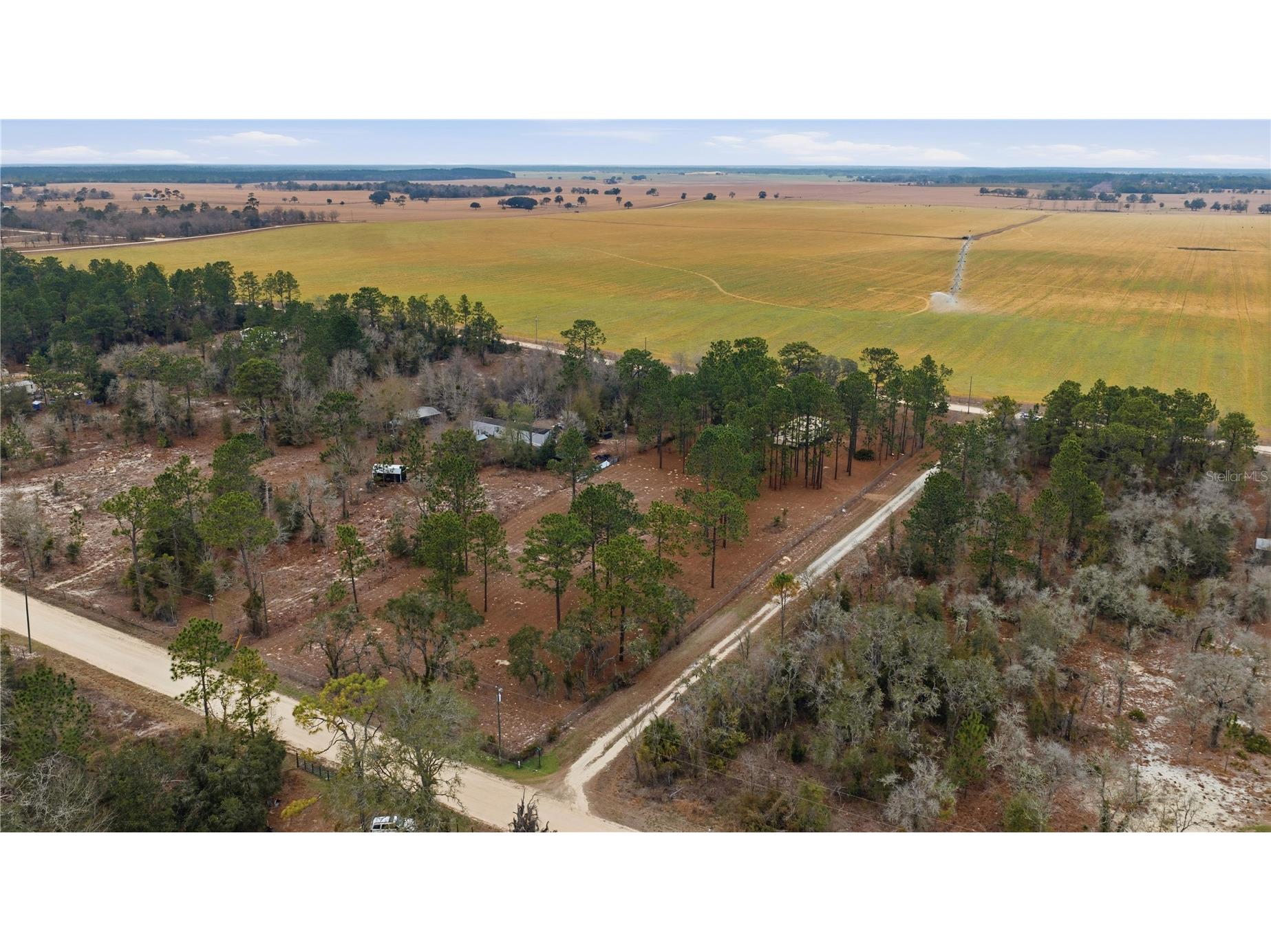 2090 SE 133rd Court Morriston FL 32668 OM716114 image7