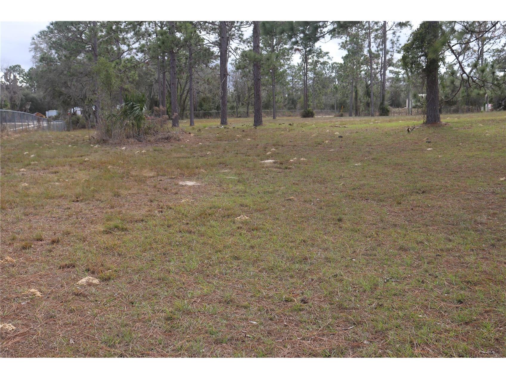2090 SE 133rd Court Morriston FL 32668 OM716114 image9