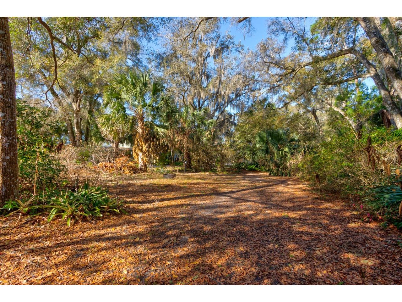 2090 Stone Road Deland FL 32720 V4947434 image39