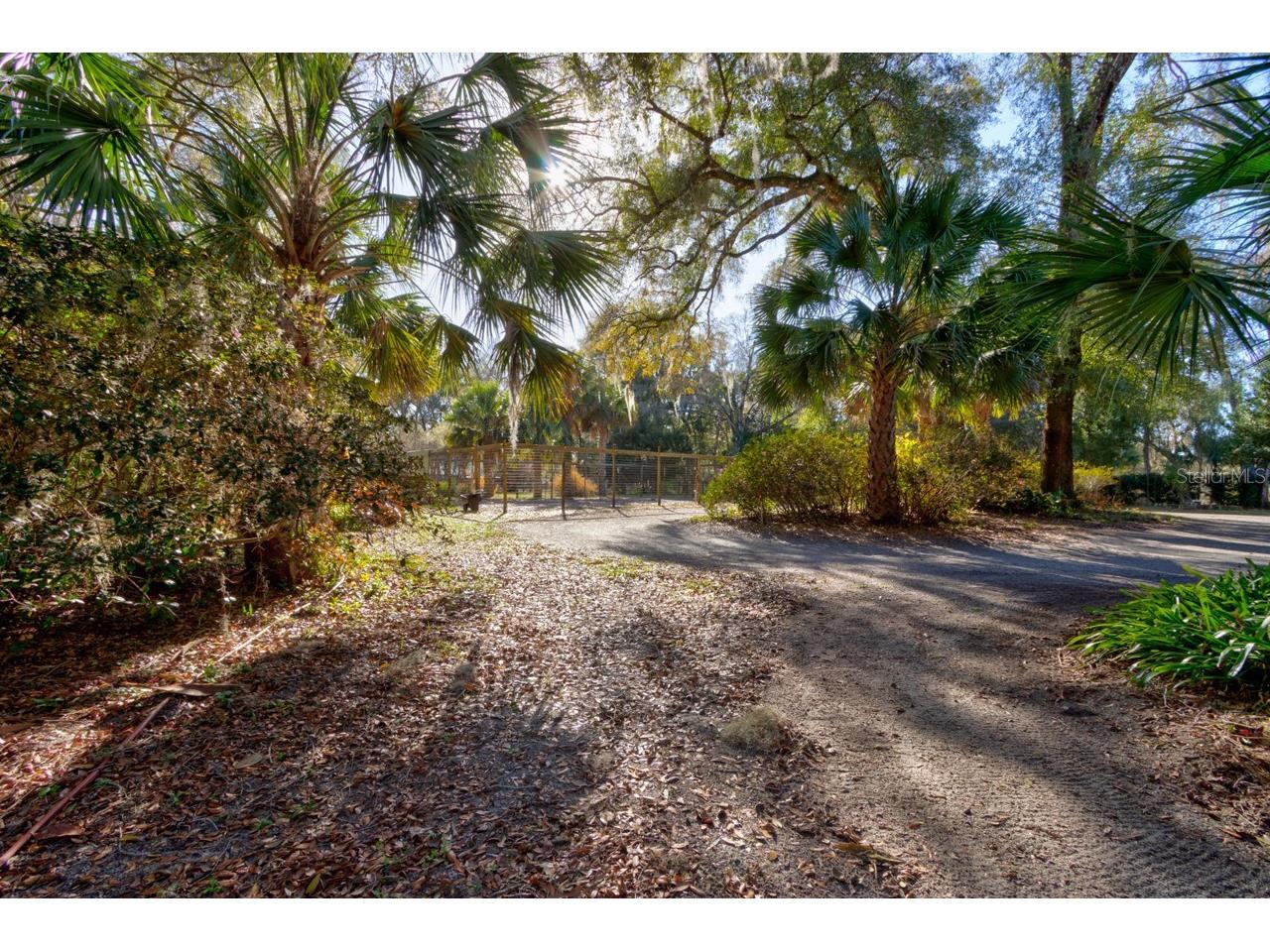 2090 Stone Road Deland FL 32720 V4947434 image43