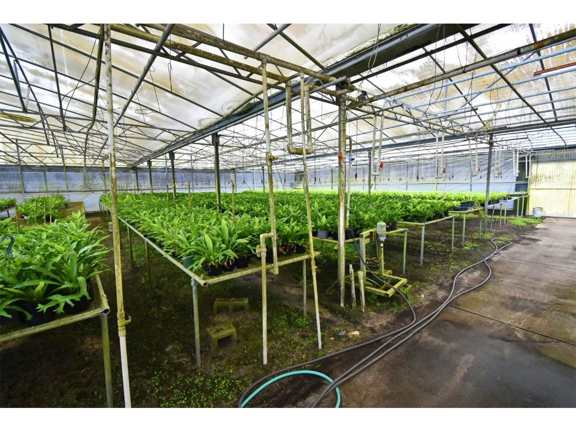 20900 State Road 44 Eustis FL 32736 O6300356 image10