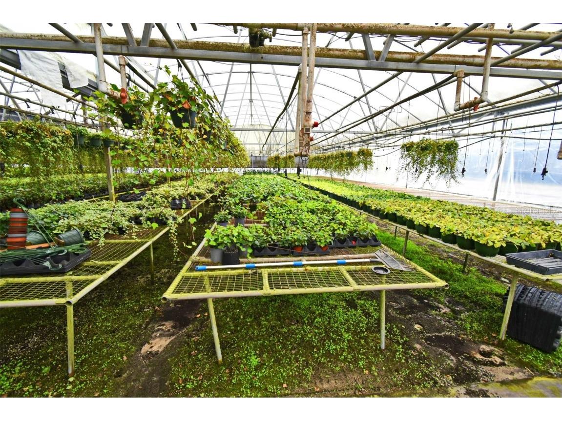 20900 State Road 44 Eustis FL 32736 O6300356 image13