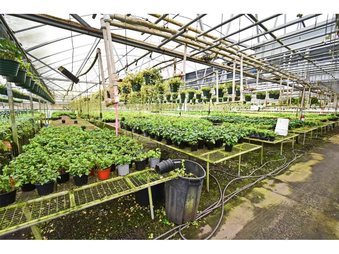 20900 State Road 44 Eustis FL 32736 O6300356 image14