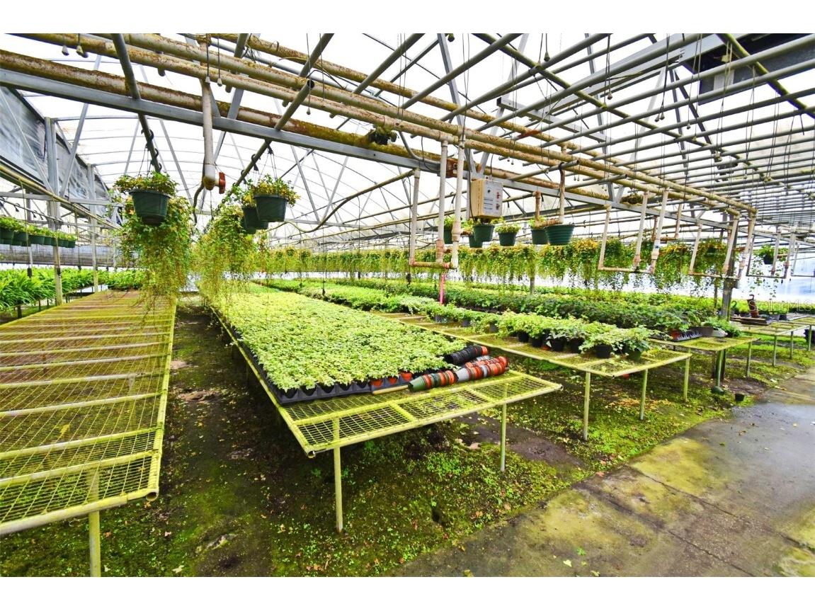 20900 State Road 44 Eustis FL 32736 O6300356 image15