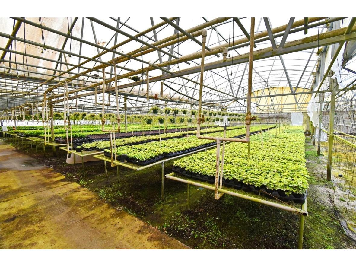 20900 State Road 44 Eustis FL 32736 O6300356 image16