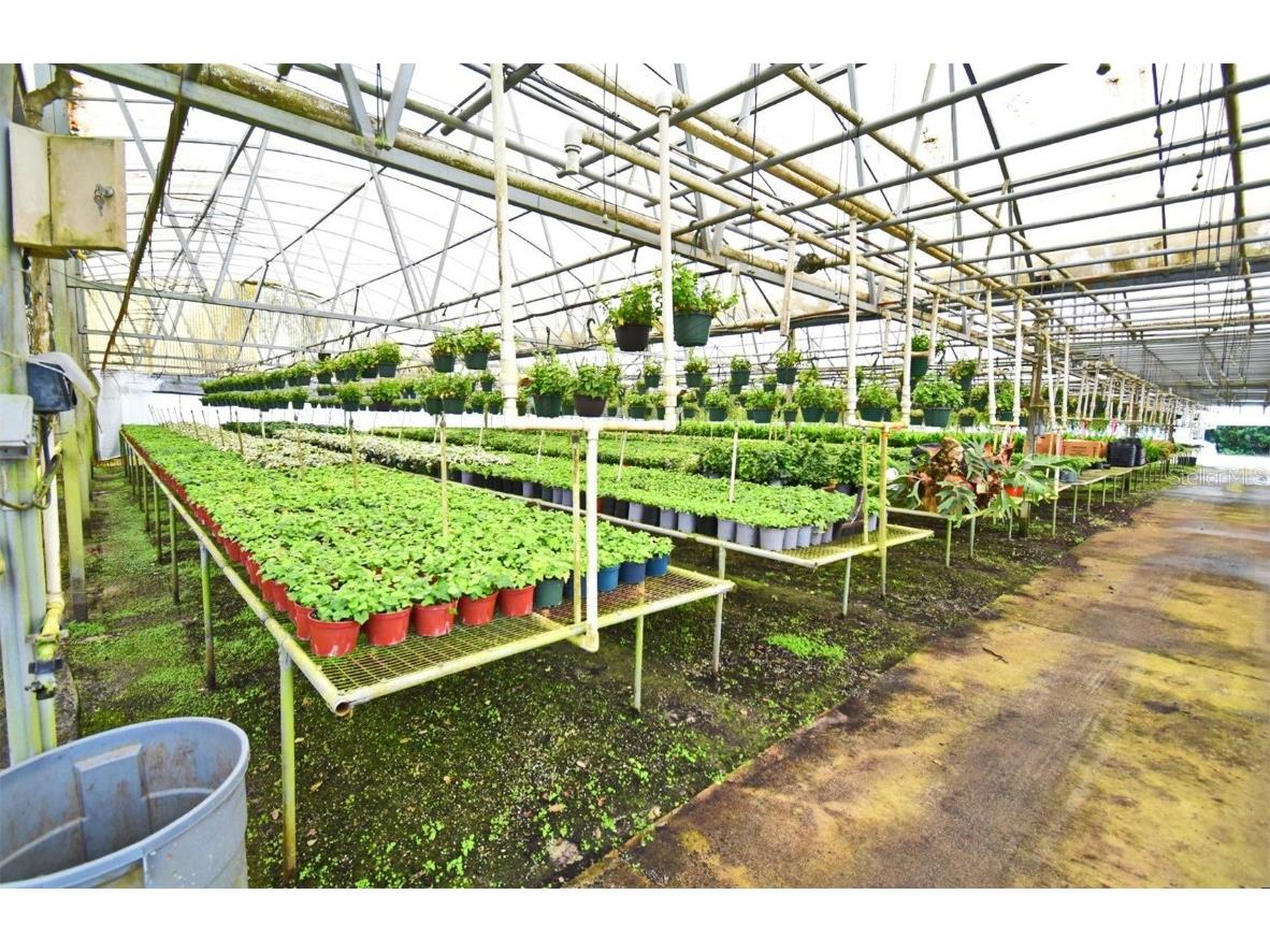 20900 State Road 44 Eustis FL 32736 O6300356 image17