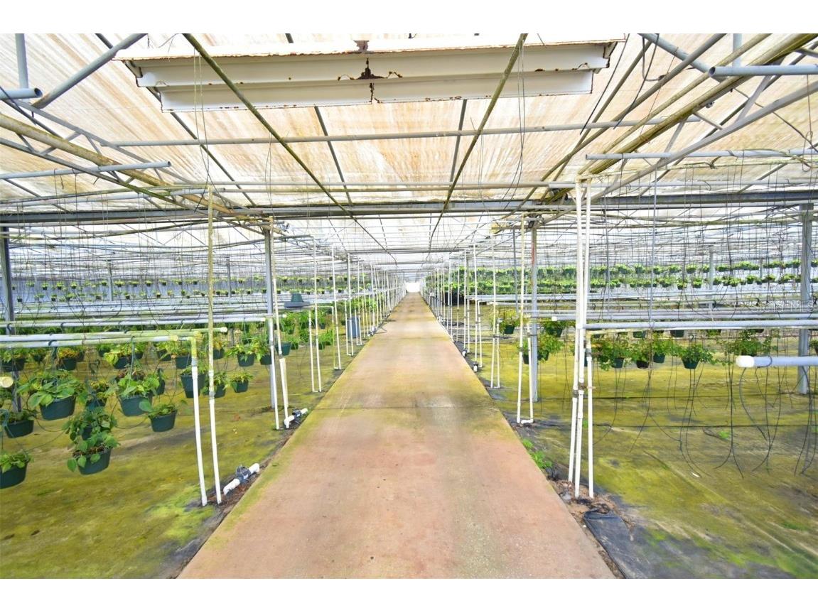 20900 State Road 44 Eustis FL 32736 O6300356 image6