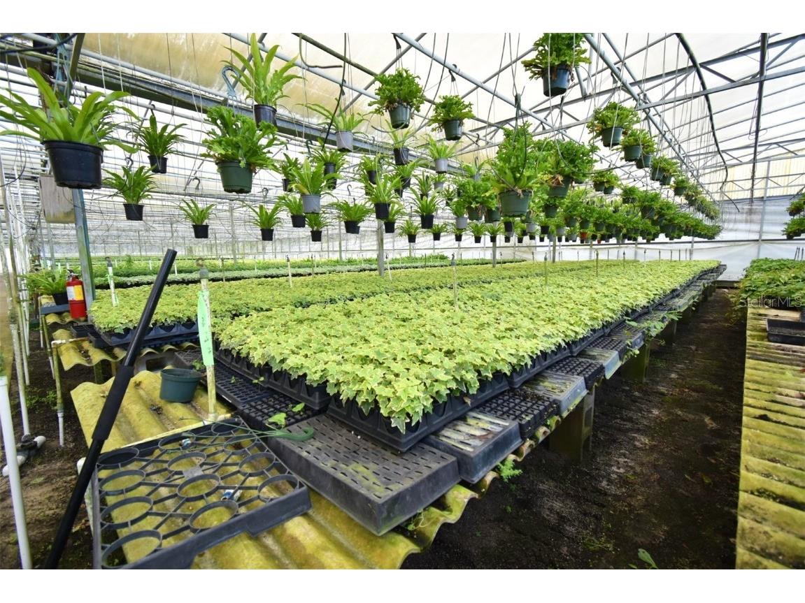 20900 State Road 44 Eustis FL 32736 O6300356 image8