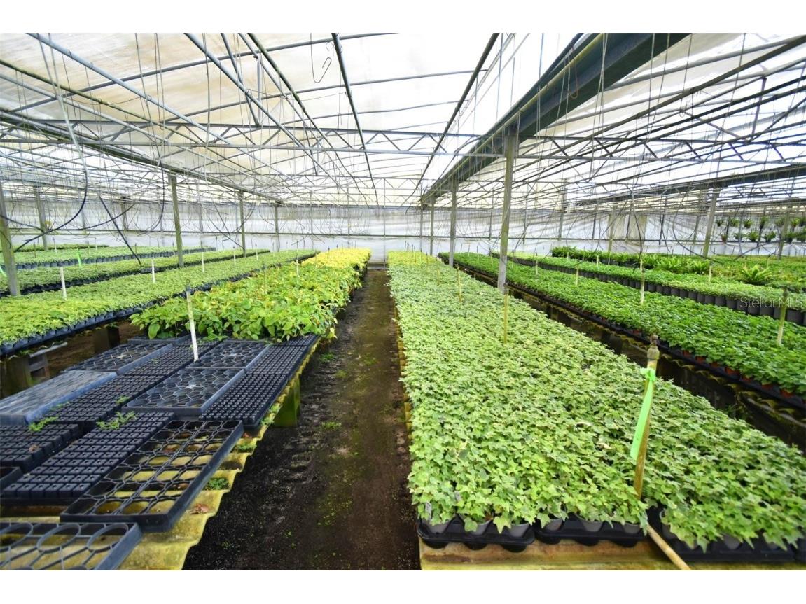 20900 State Road 44 Eustis FL 32736 O6300356 image9