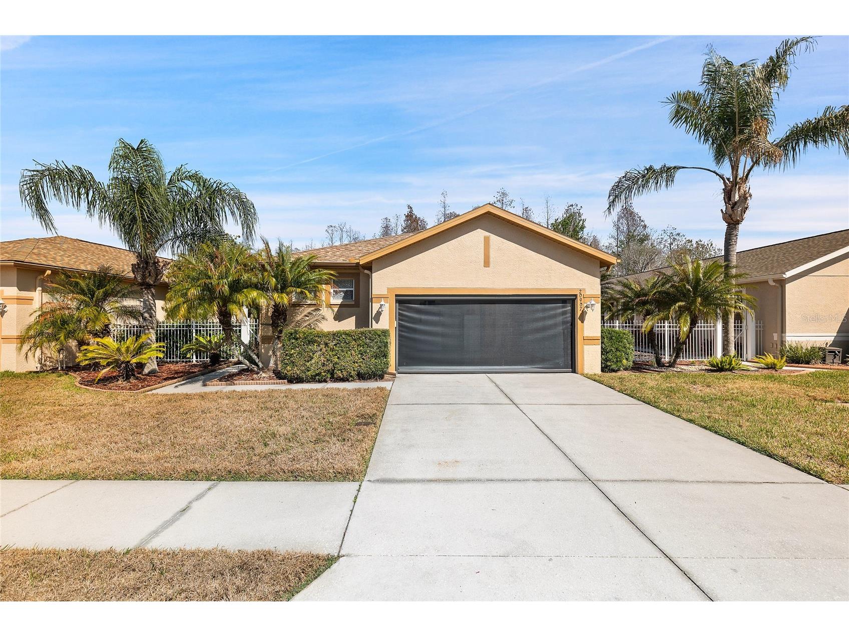 20907 Diamonte Drive Land O Lakes FL 34637 W7883246 image1