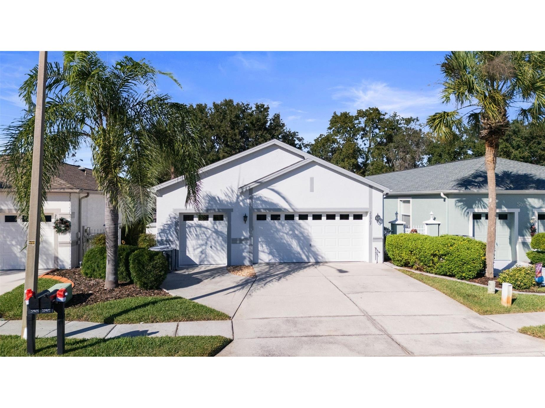 20907 Tangor Road Land O Lakes FL 34637 TB8462037 image1