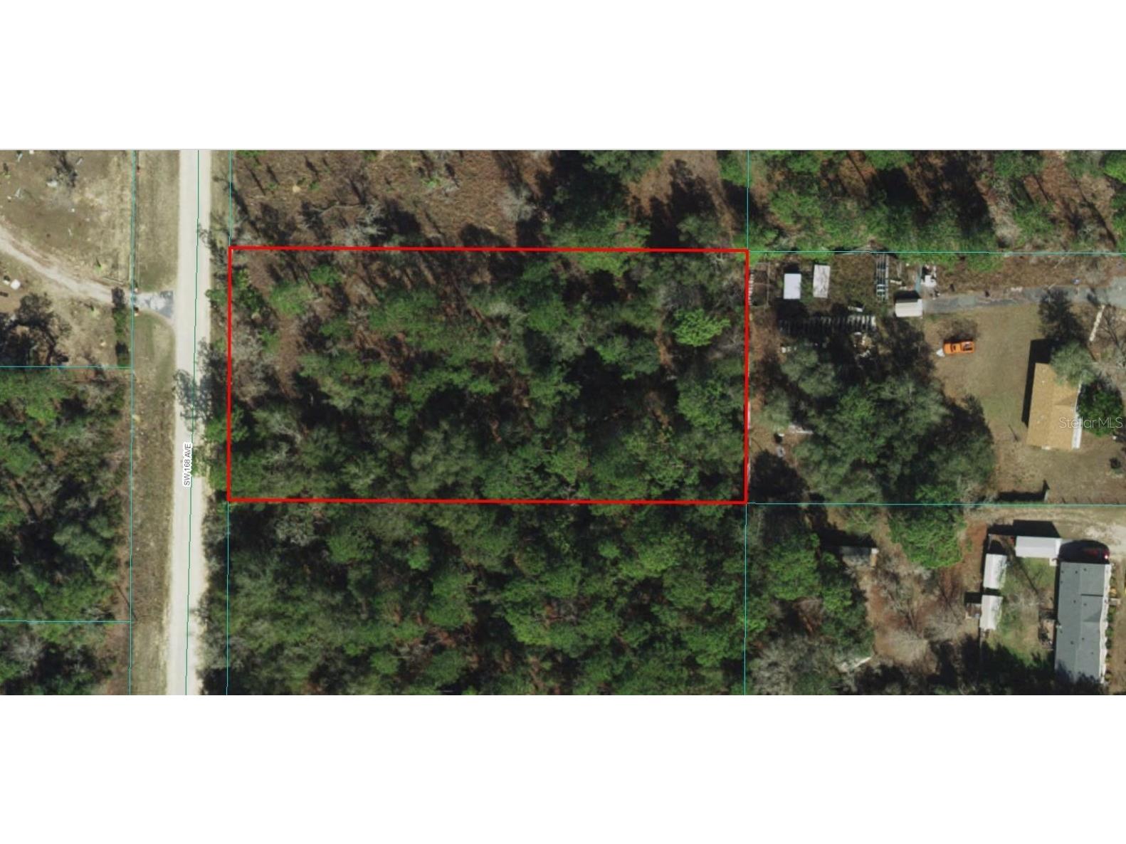 2091-017-017 SW 168th Avenue Ocala FL 34481 A4607106 image1