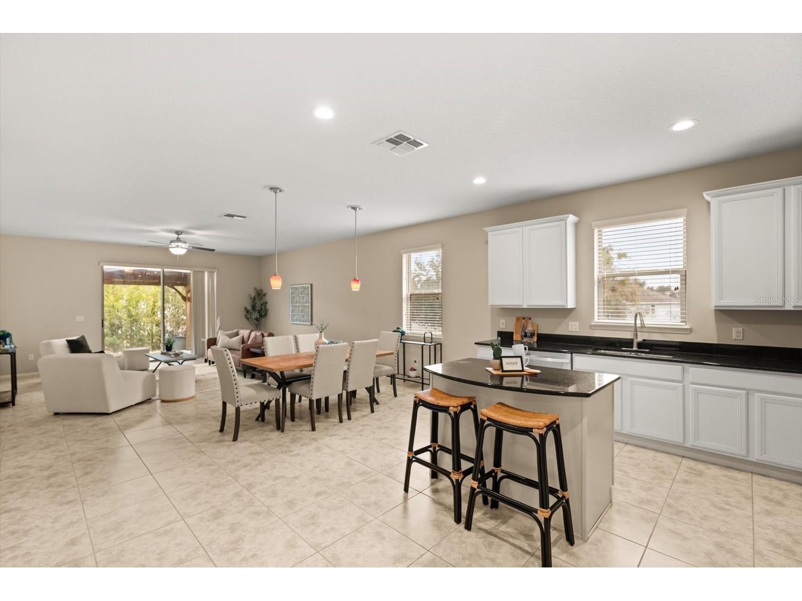 20913 Sullivan Ranch Boulevard Mount Dora FL 32757 G5108576 image7