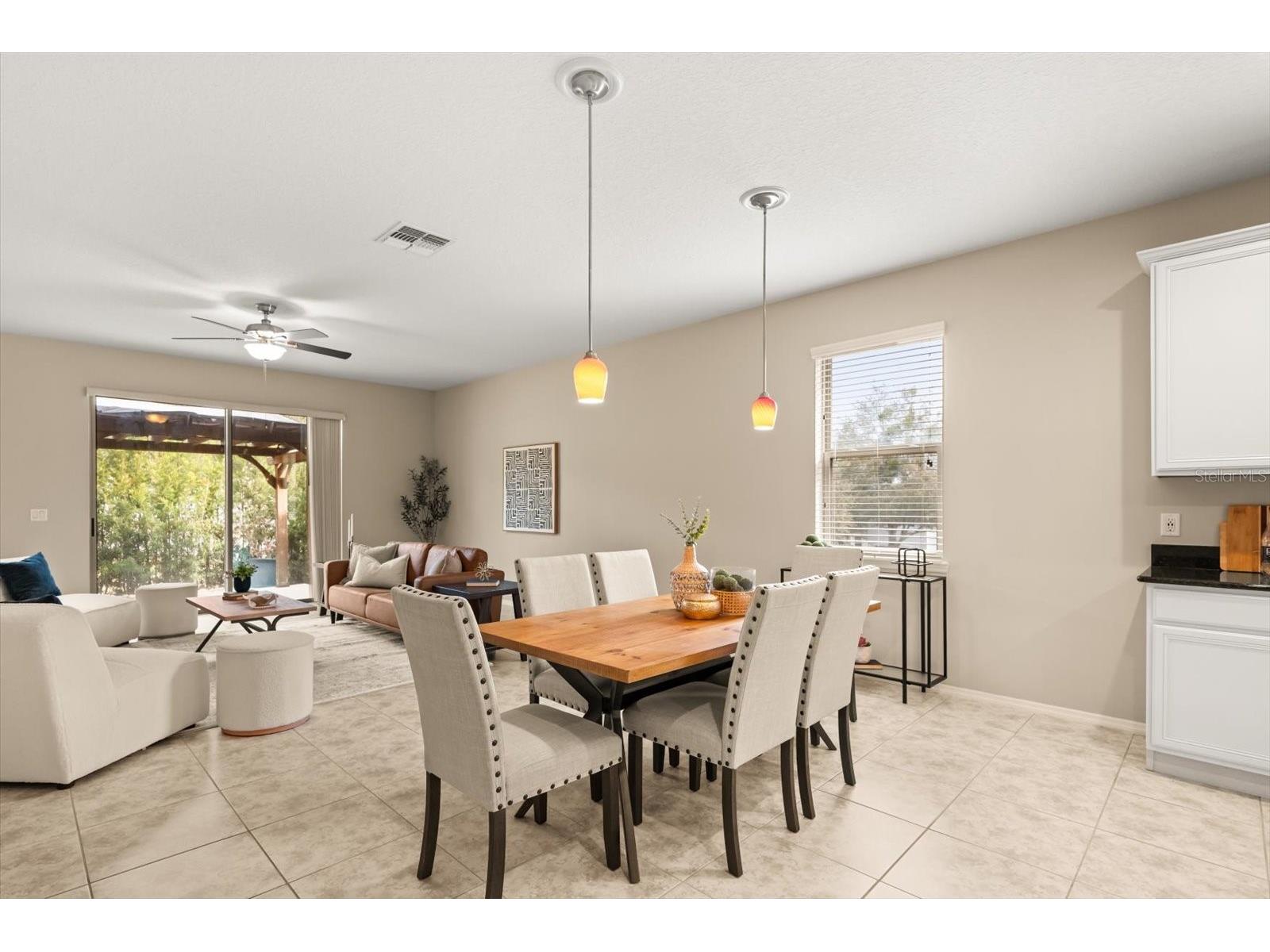 20913 Sullivan Ranch Boulevard Mount Dora FL 32757 G5108576 image9