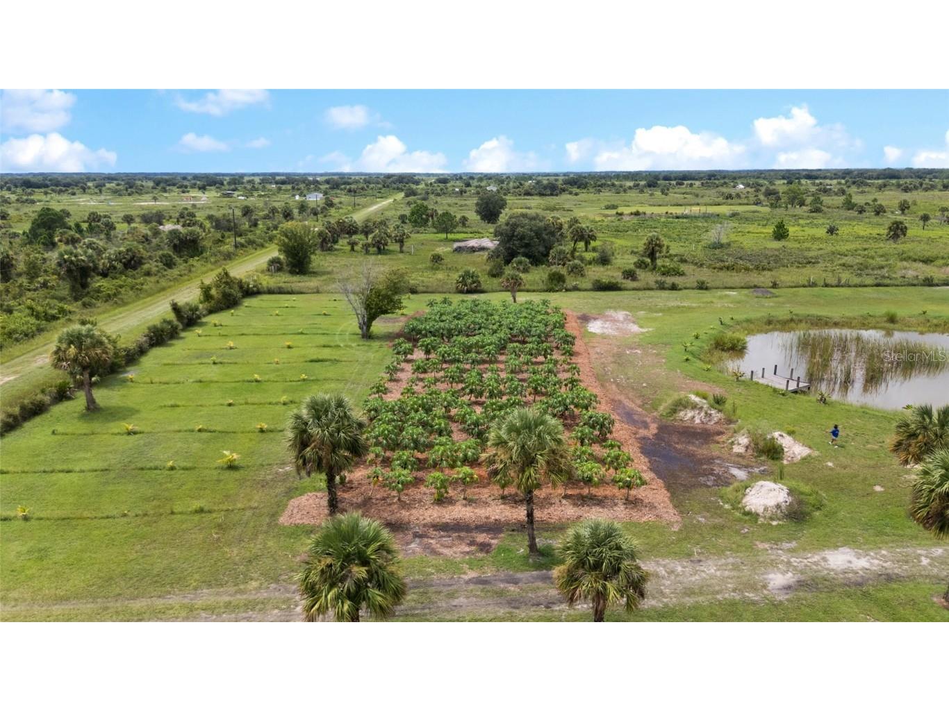 20914 NW 280th Street Okeechobee FL 34972 OK225543 image19