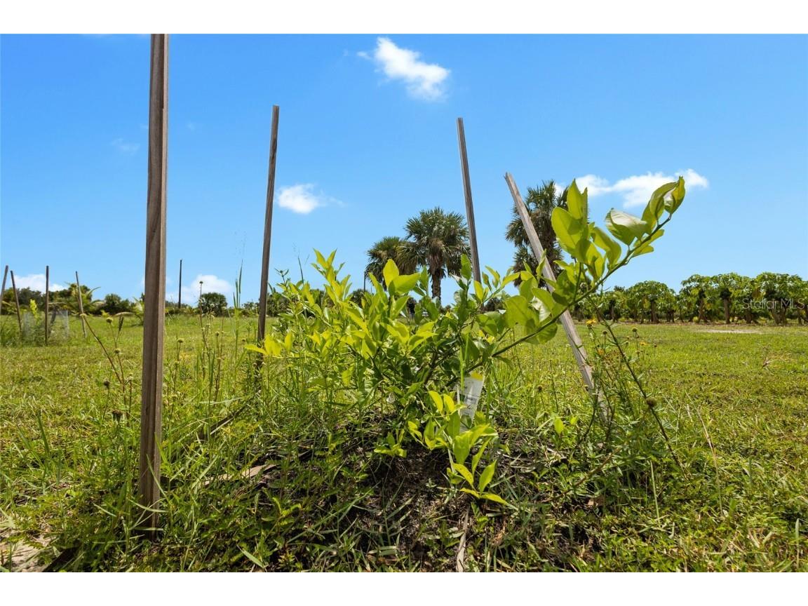 20914 NW 280th Street Okeechobee FL 34972 OK225543 image25