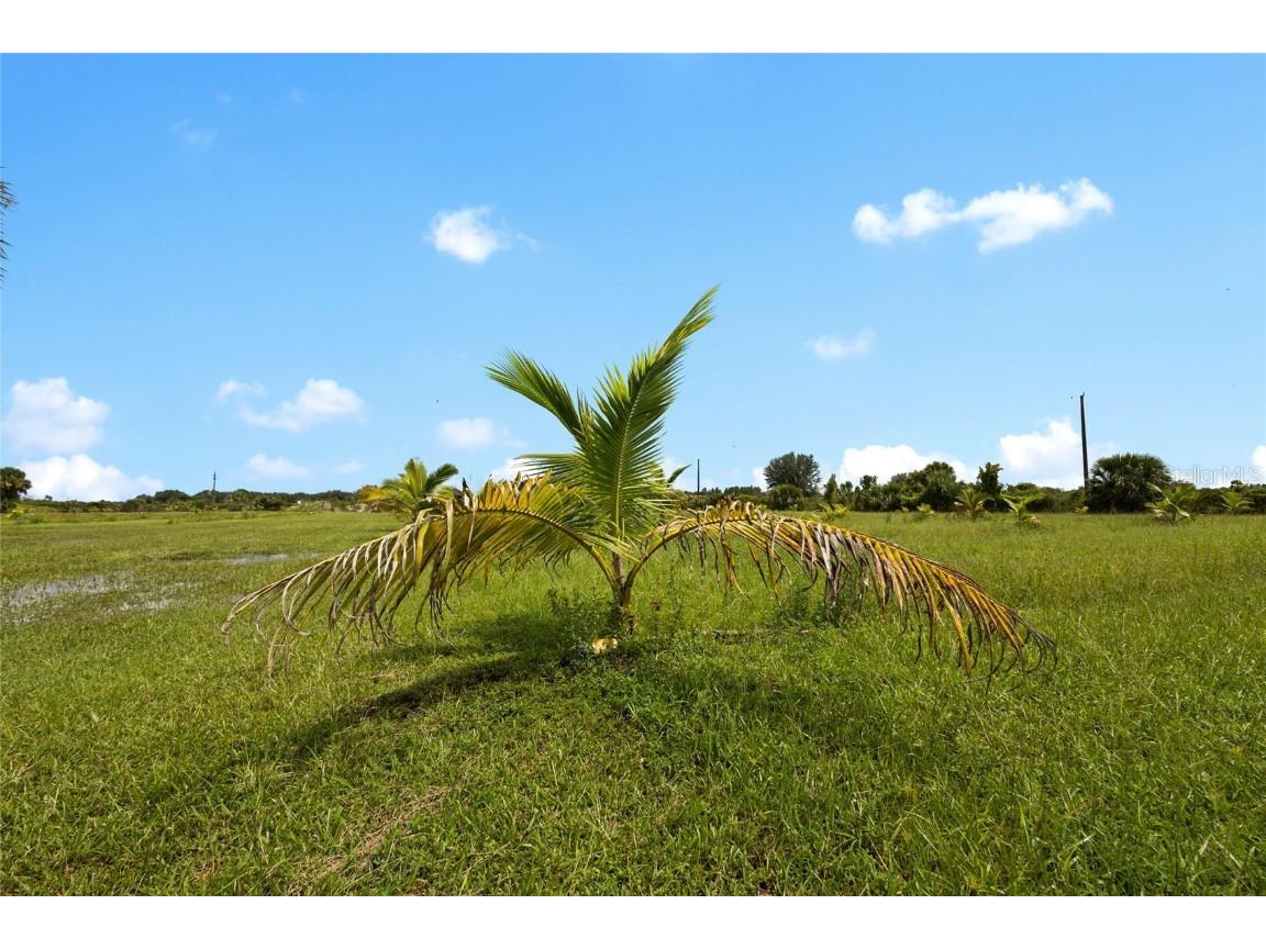 20914 NW 280th Street Okeechobee FL 34972 OK225543 image29