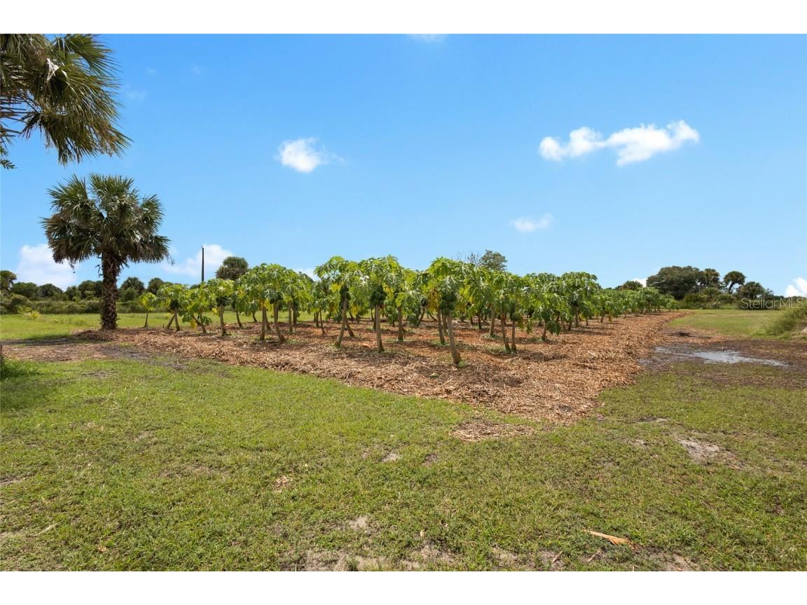 20914 NW 280th Street Okeechobee FL 34972 OK225543 image30