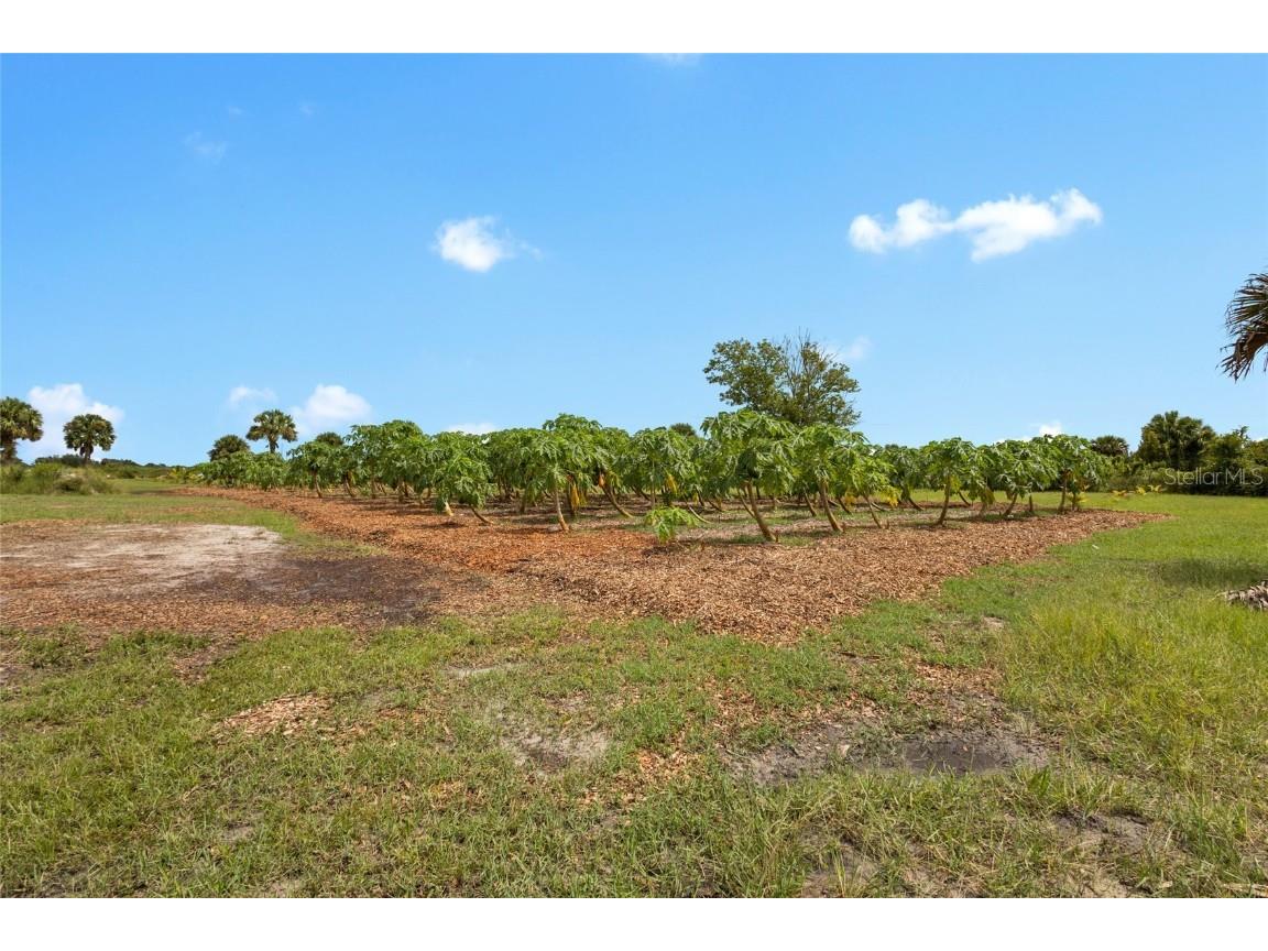 20914 NW 280th Street Okeechobee FL 34972 OK225543 image36