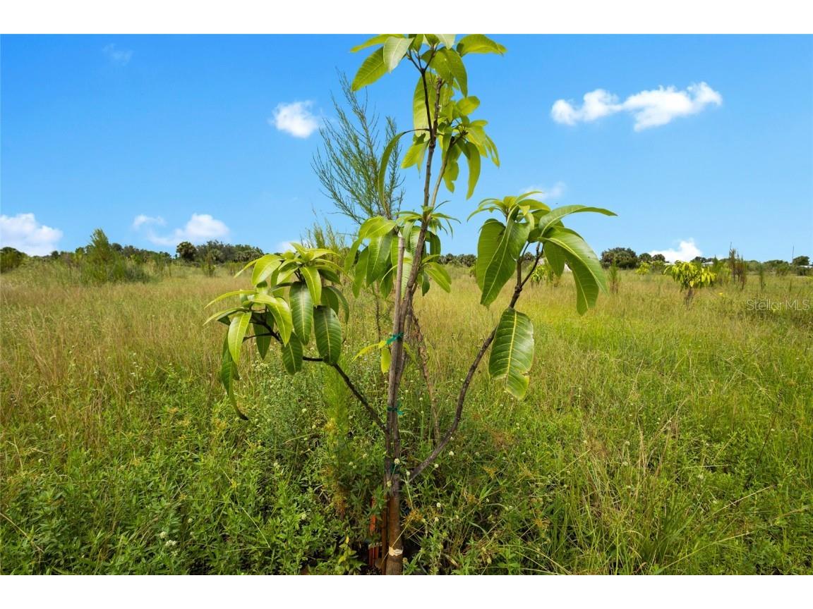 20914 NW 280th Street Okeechobee FL 34972 OK225543 image43