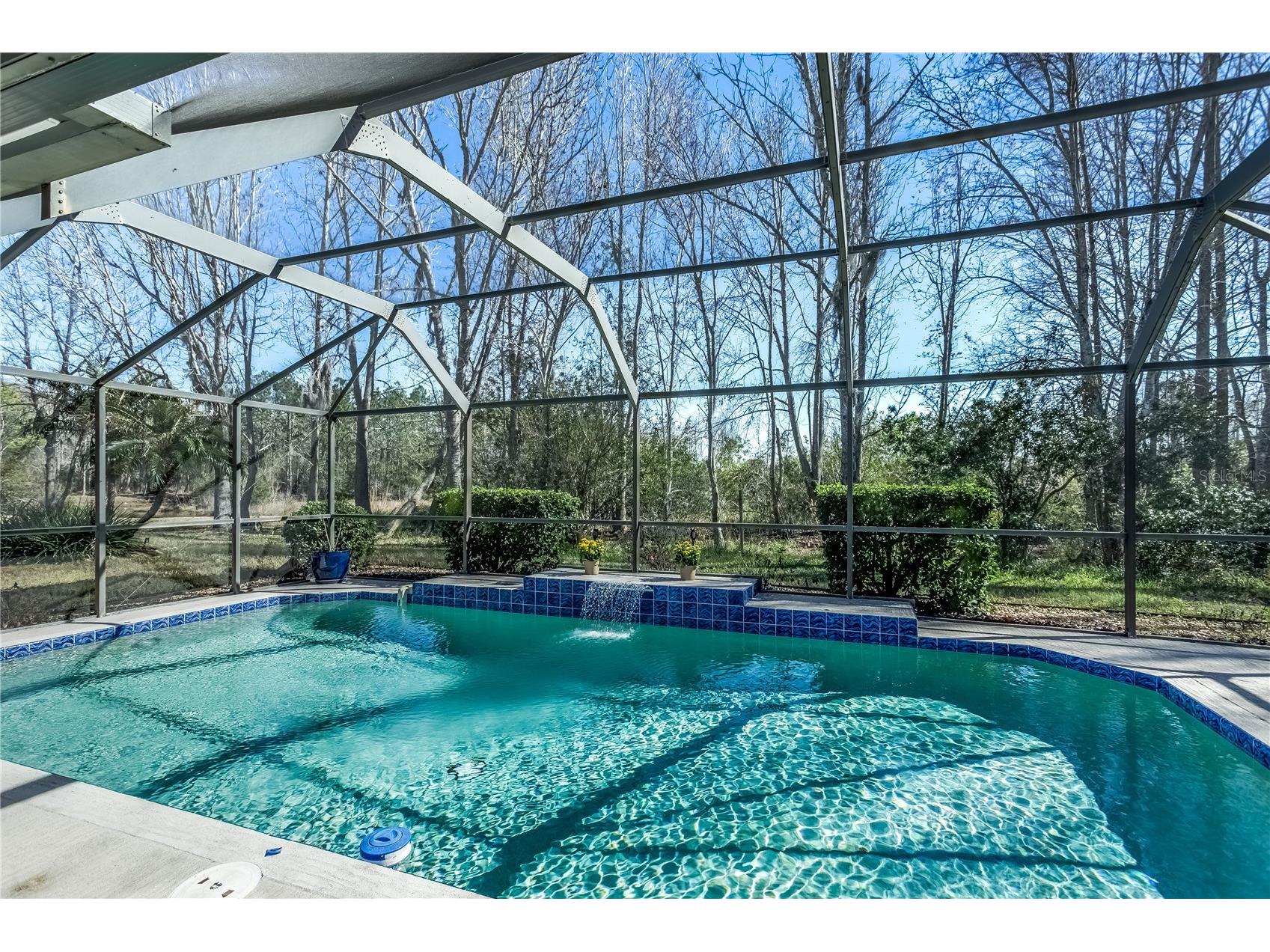 20914 Ruby Red Way Land O Lakes FL 34637 TB8478006 image12