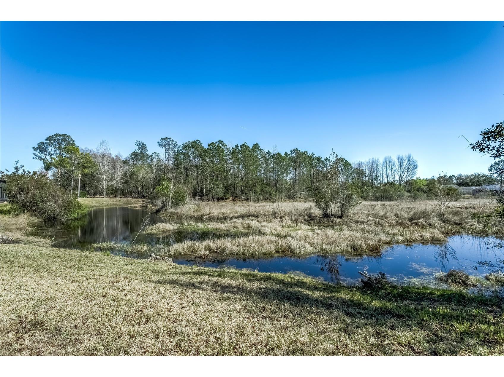 20914 Ruby Red Way Land O Lakes FL 34637 TB8478006 image15