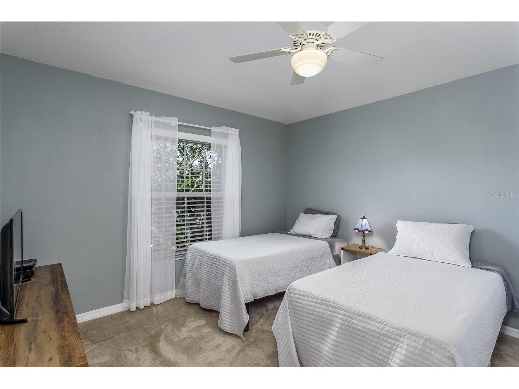 20914 Ruby Red Way Land O Lakes FL 34637 TB8478006 image19
