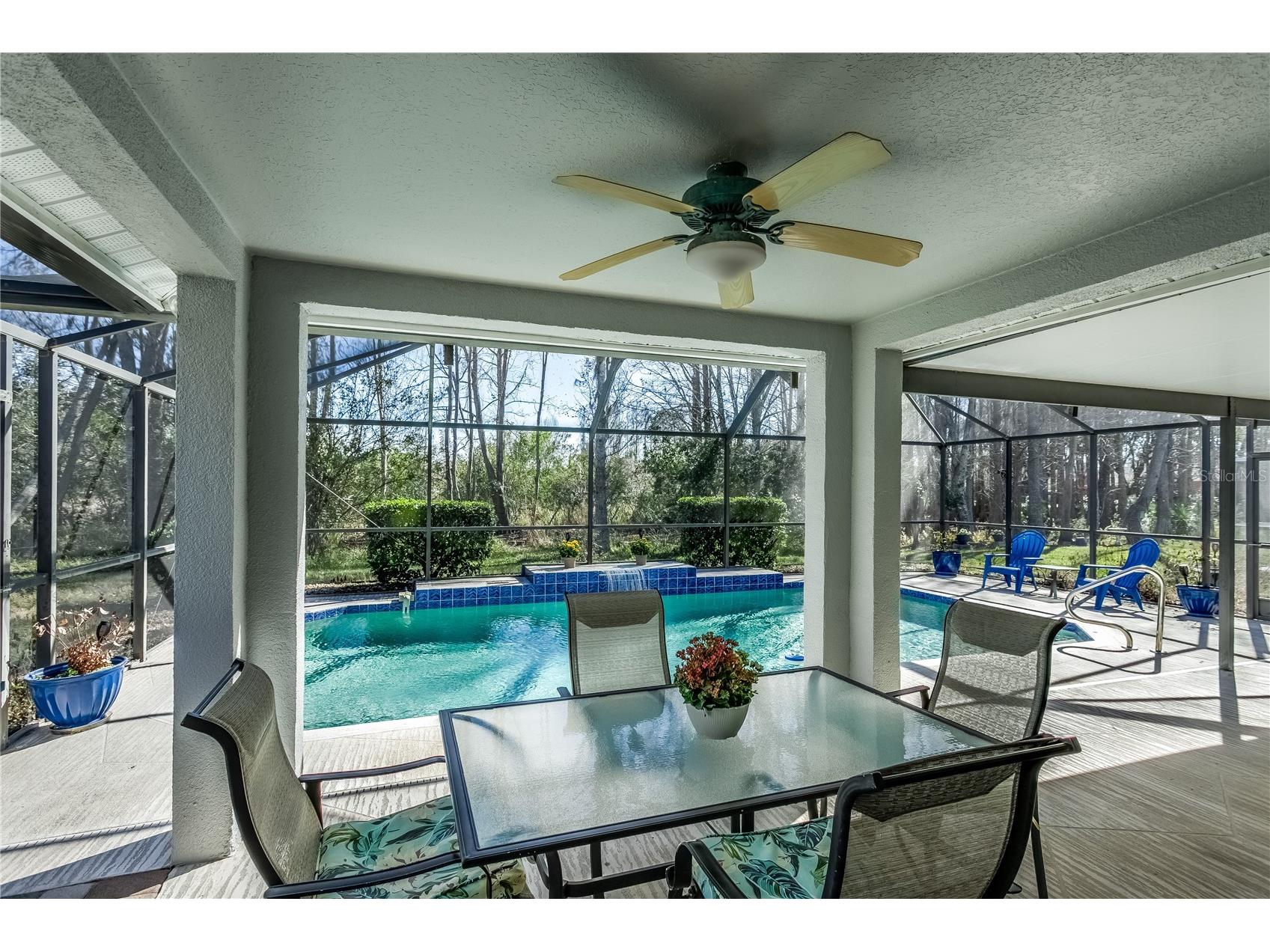 20914 Ruby Red Way Land O Lakes FL 34637 TB8478006 image2