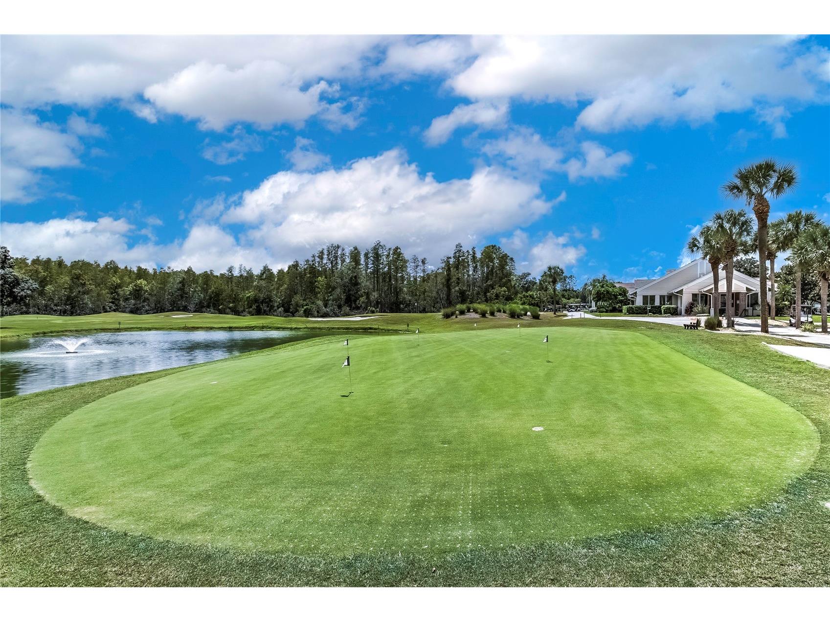 20914 Ruby Red Way Land O Lakes FL 34637 TB8478006 image44