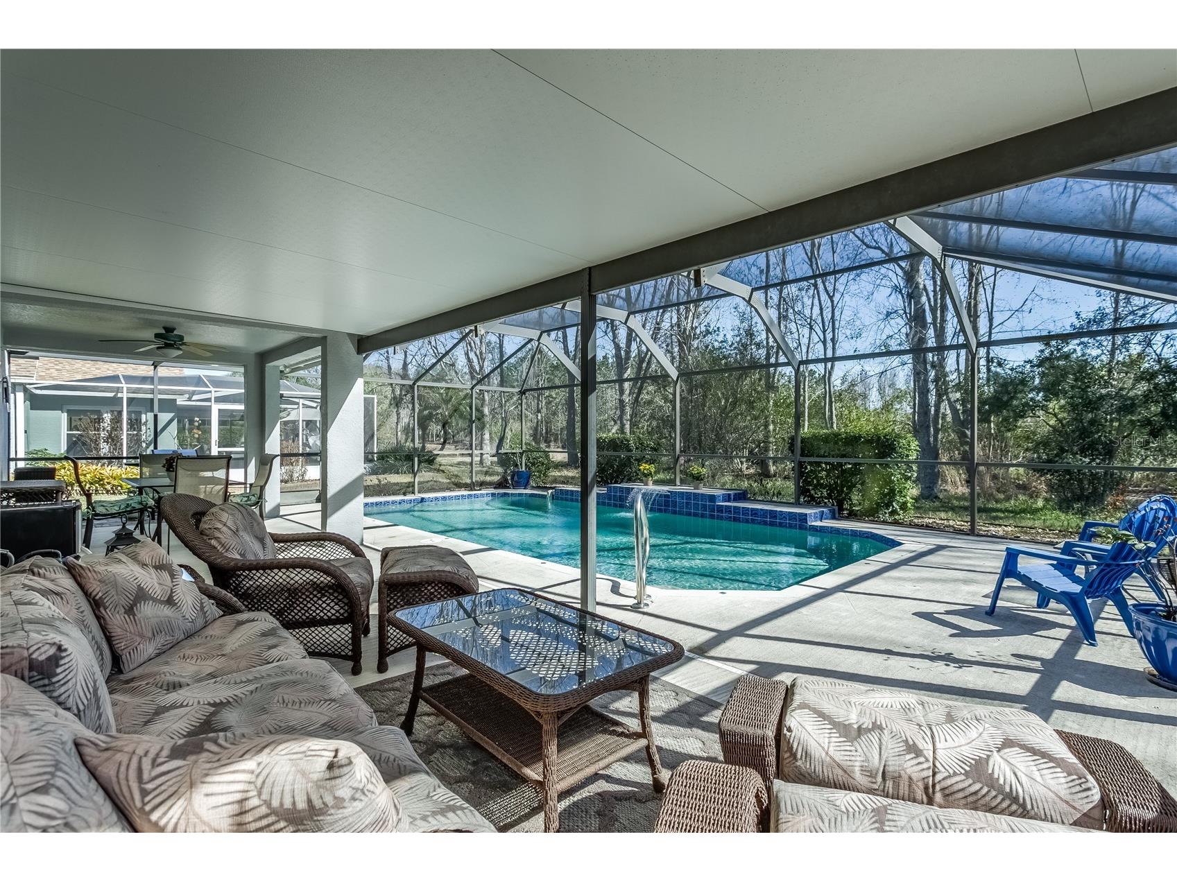 20914 Ruby Red Way Land O Lakes FL 34637 TB8478006 image8
