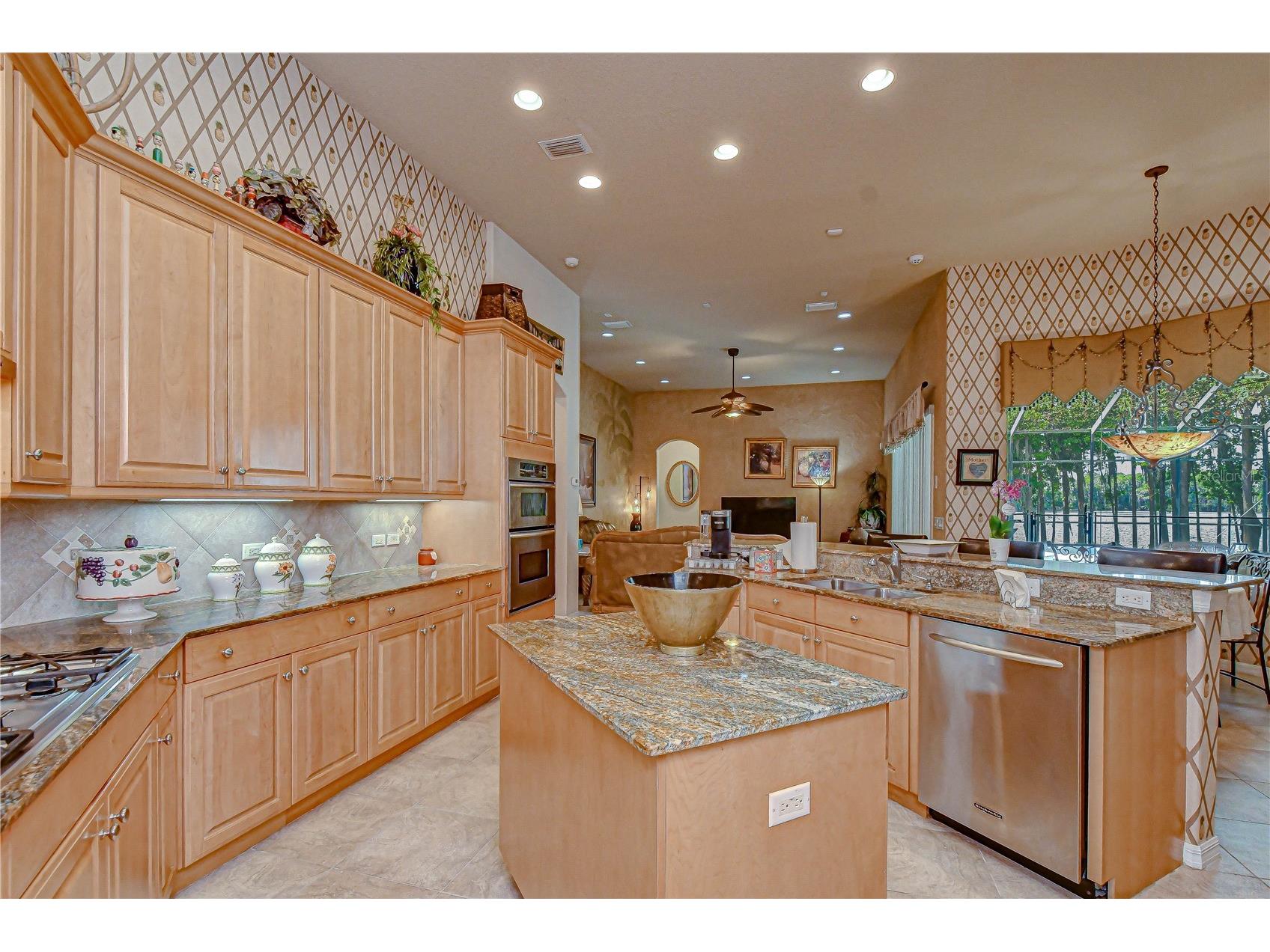 20915 Lake Vienna Drive Land O Lakes FL 34638 - BIG LAKE VIENNA TB8502586 image12