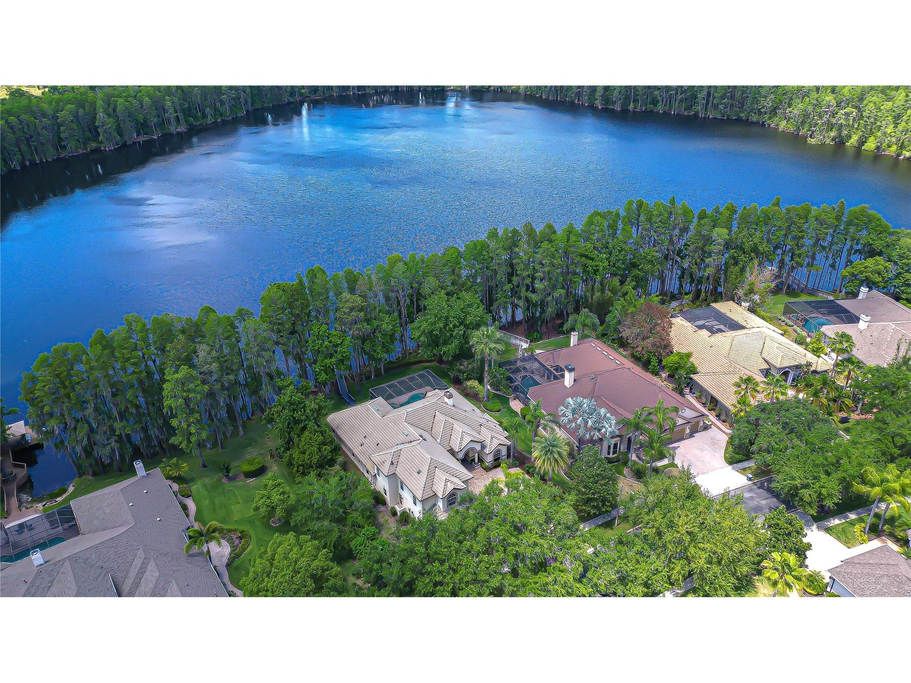 20915 Lake Vienna Drive Land O Lakes FL 34638 - BIG LAKE VIENNA TB8502586 image2