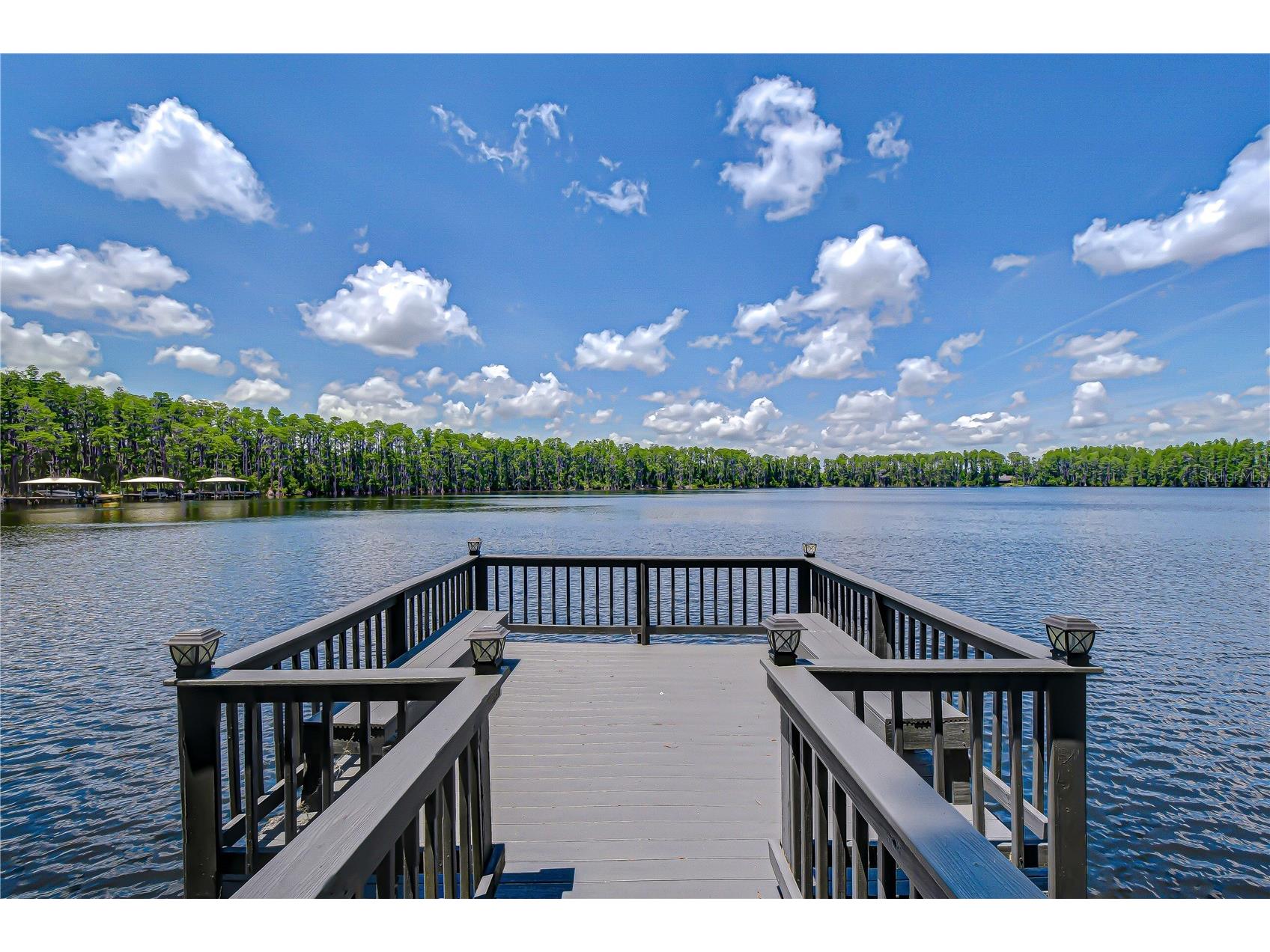 20915 Lake Vienna Drive Land O Lakes FL 34638 - BIG LAKE VIENNA TB8502586 image3
