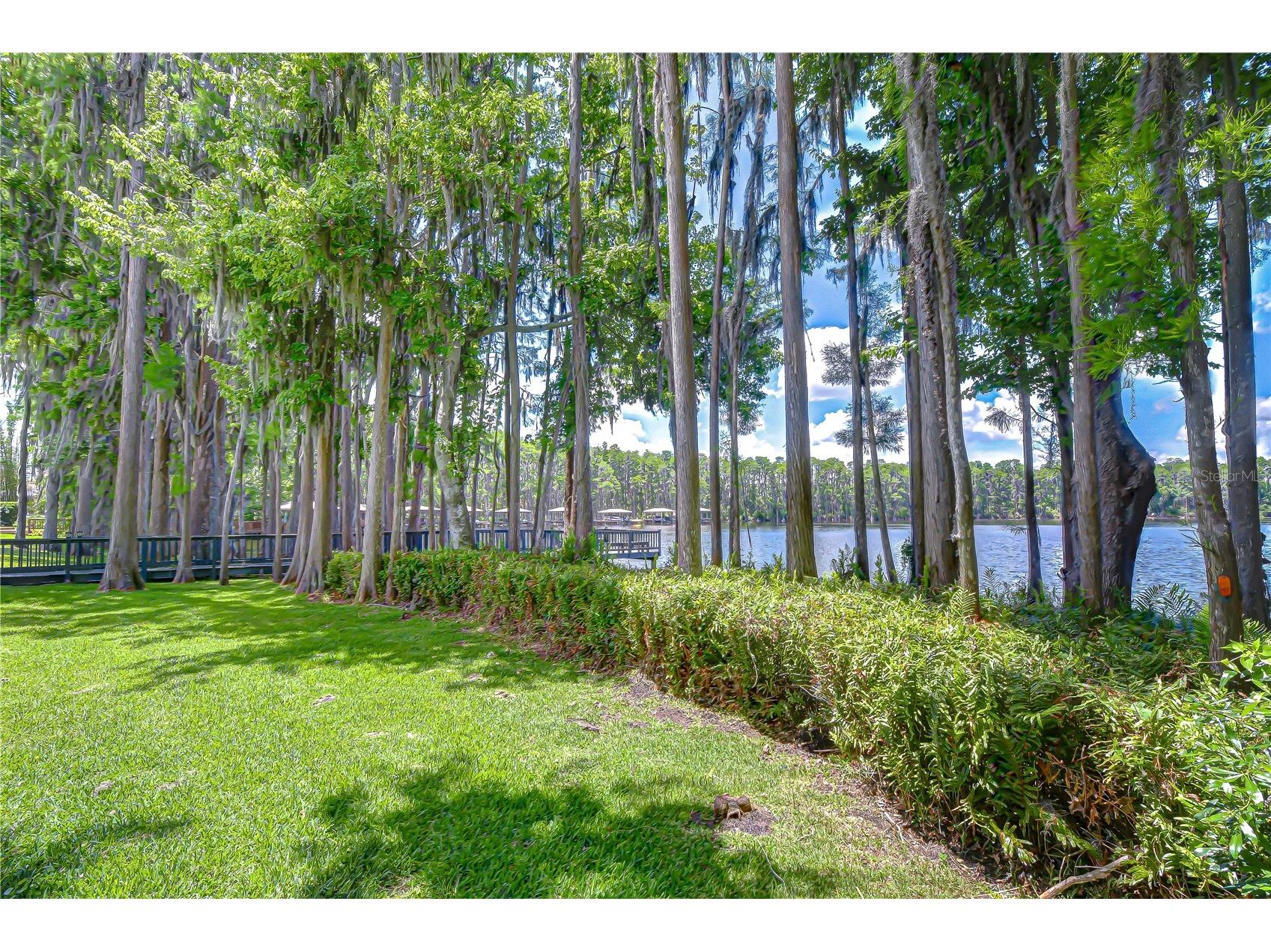 20915 Lake Vienna Drive Land O Lakes FL 34638 - BIG LAKE VIENNA TB8502586 image36
