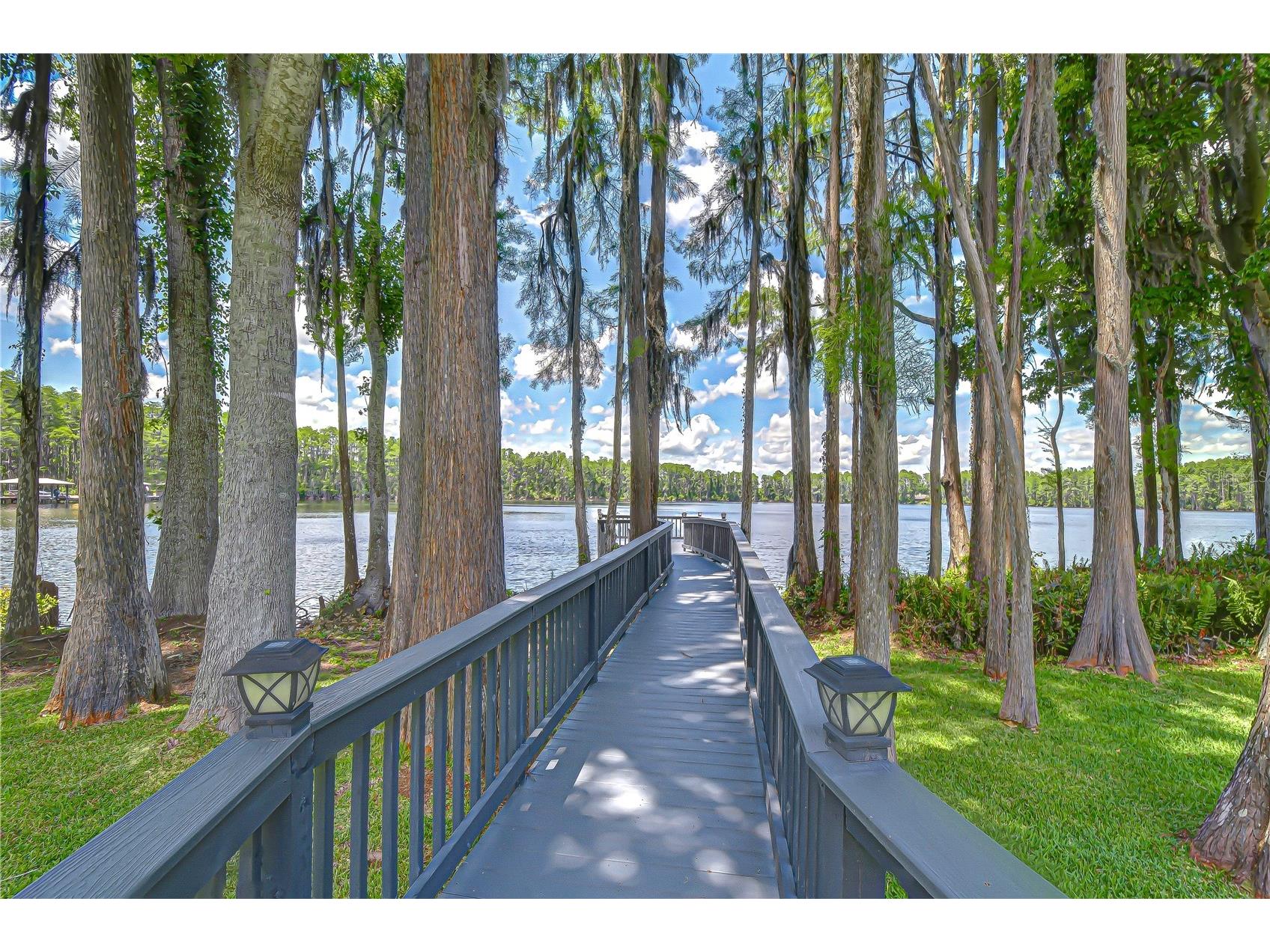 20915 Lake Vienna Drive Land O Lakes FL 34638 - BIG LAKE VIENNA TB8502586 image40