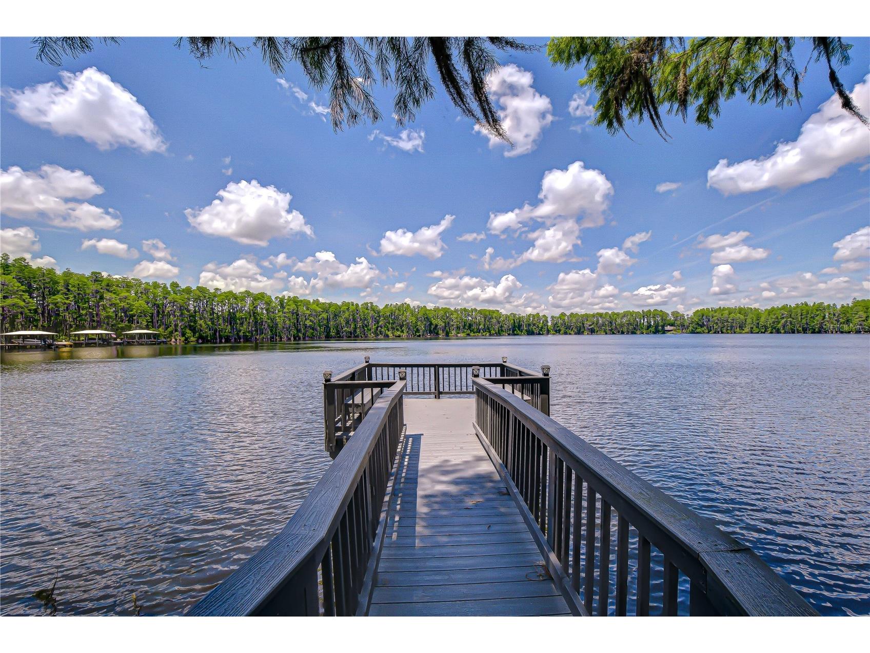 20915 Lake Vienna Drive Land O Lakes FL 34638 - BIG LAKE VIENNA TB8502586 image41